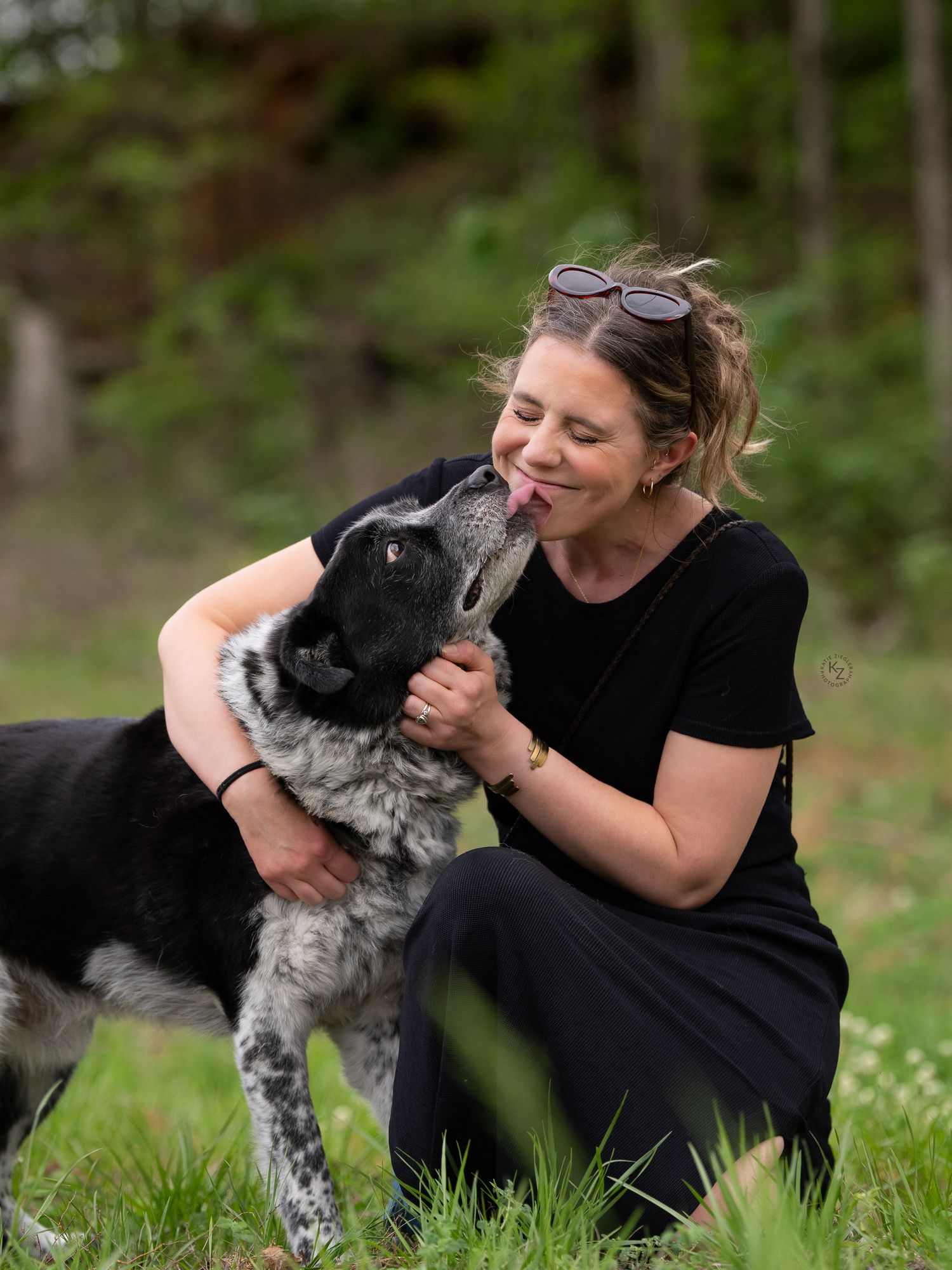 Katie Ziegler Photography. Huntsville, Alabama. Pet Photographer. senior pet portraits