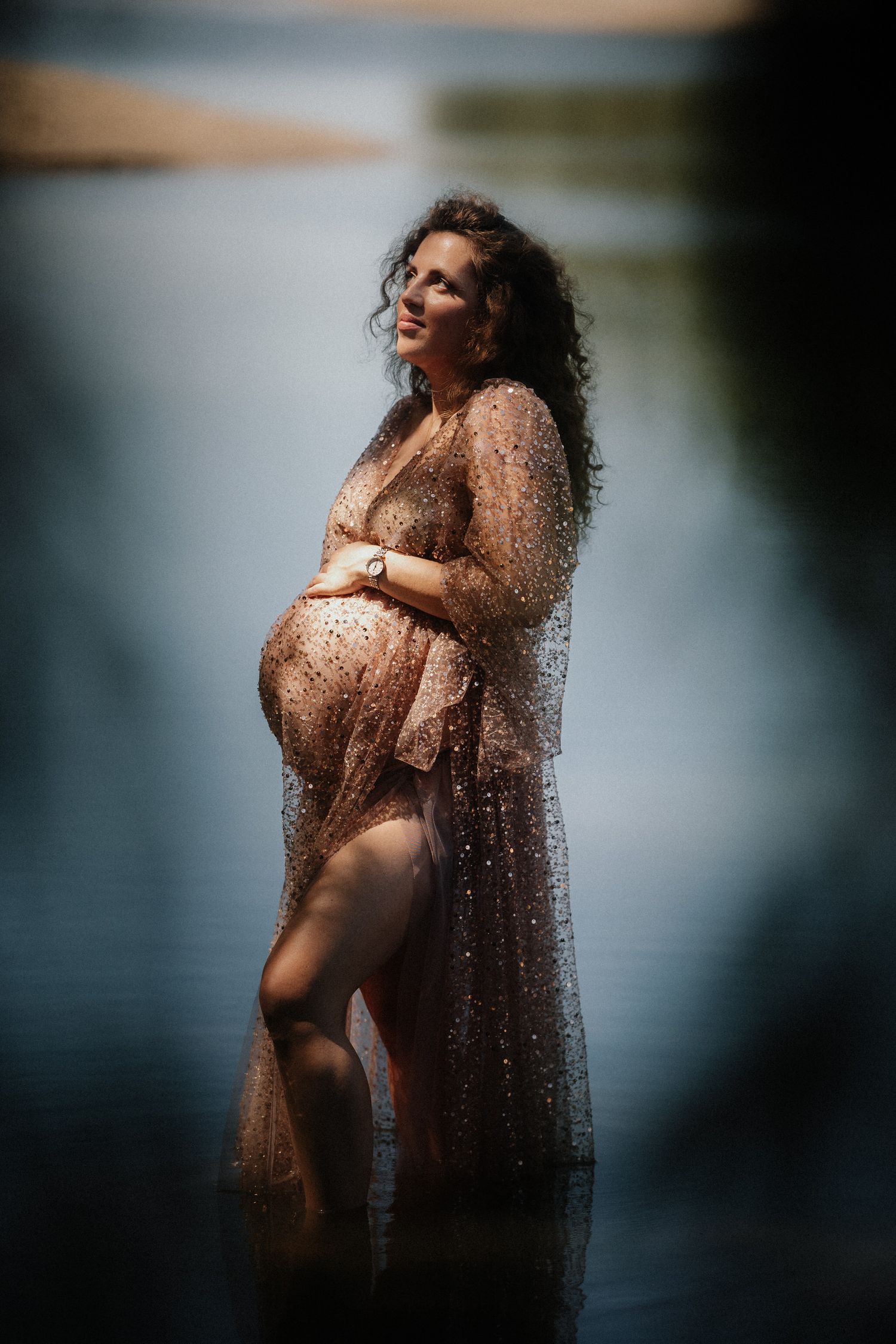 A silhouetted figure in a sheer sequined gown poses for maternity photos against a moody dark background near water.