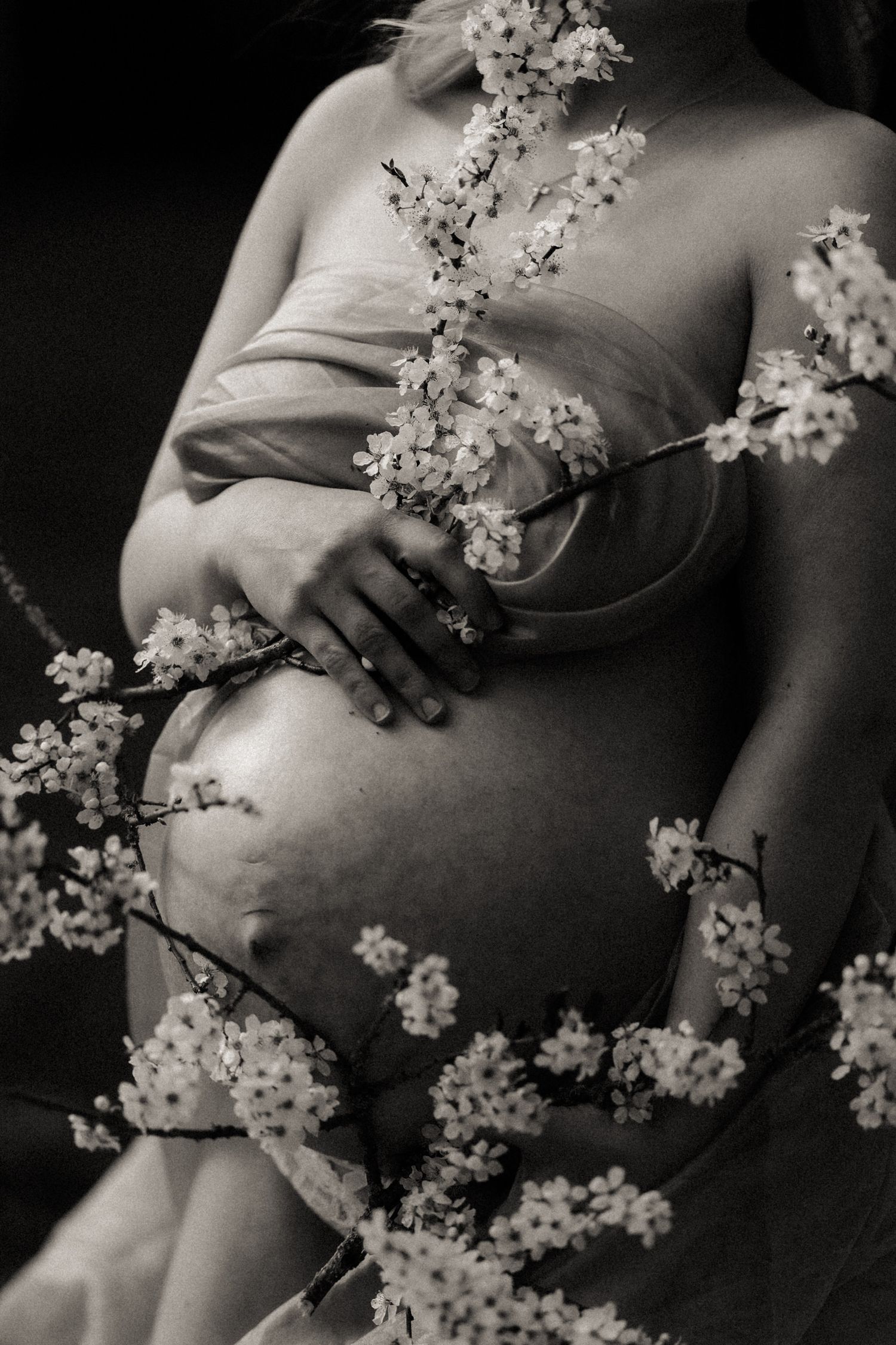 Black and white artistic maternity photo with delicate cherry blossoms framing a pregnant belly in soft natural light.