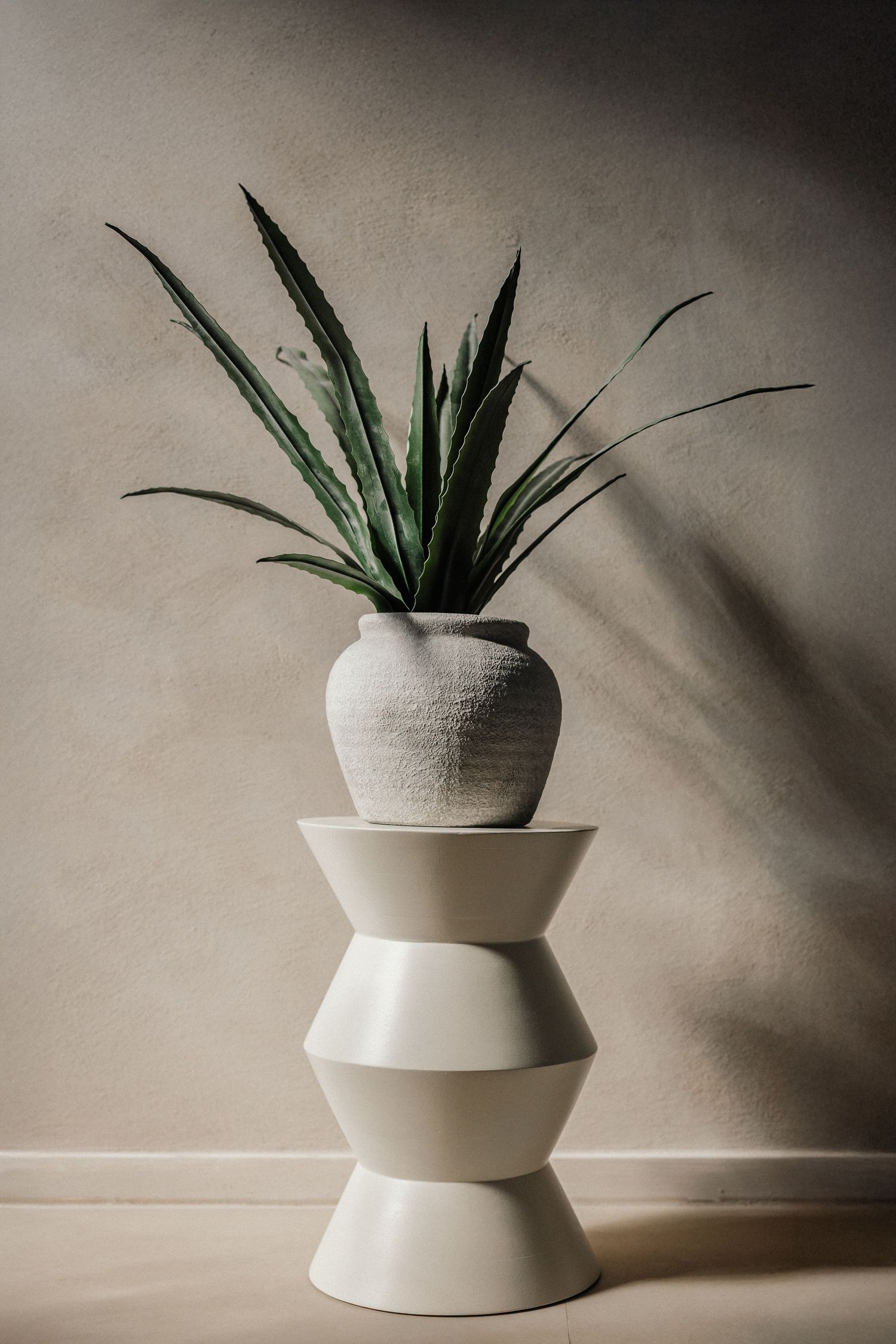 Kleine Aloe in Topf auf modernem weißen Podest vor neutraler Wand mit Schatten – Business Shooting Frankfurt