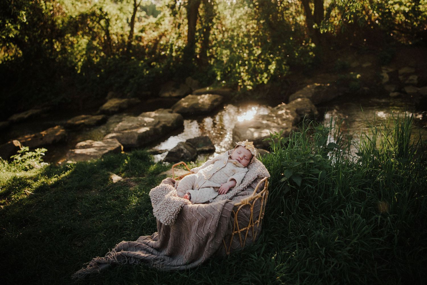 Newborn baby sleeping peacefully in a wicker basket outdoors, surrounded by lush greenery and warm golden sunlight.