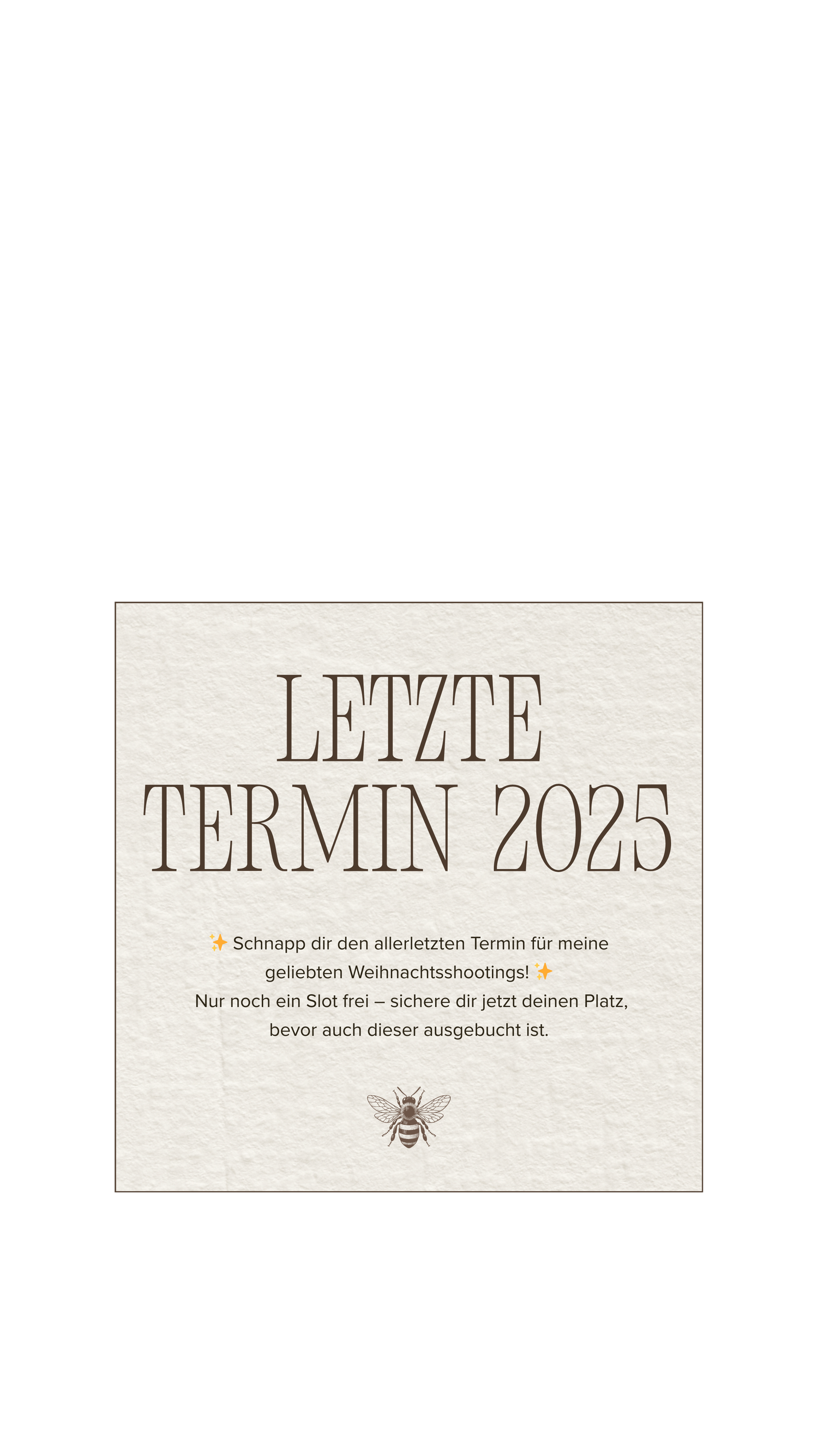 A minimalist design banner showing 'LETZTE TERMIN 2025' text in brown lettering on a beige background.