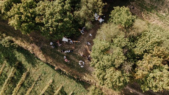 Hochzeitsfotograf Boudier & Koeller – Luftaufnahme einer kleinen Gruppe neben Weinreben an sonnigem Tag.