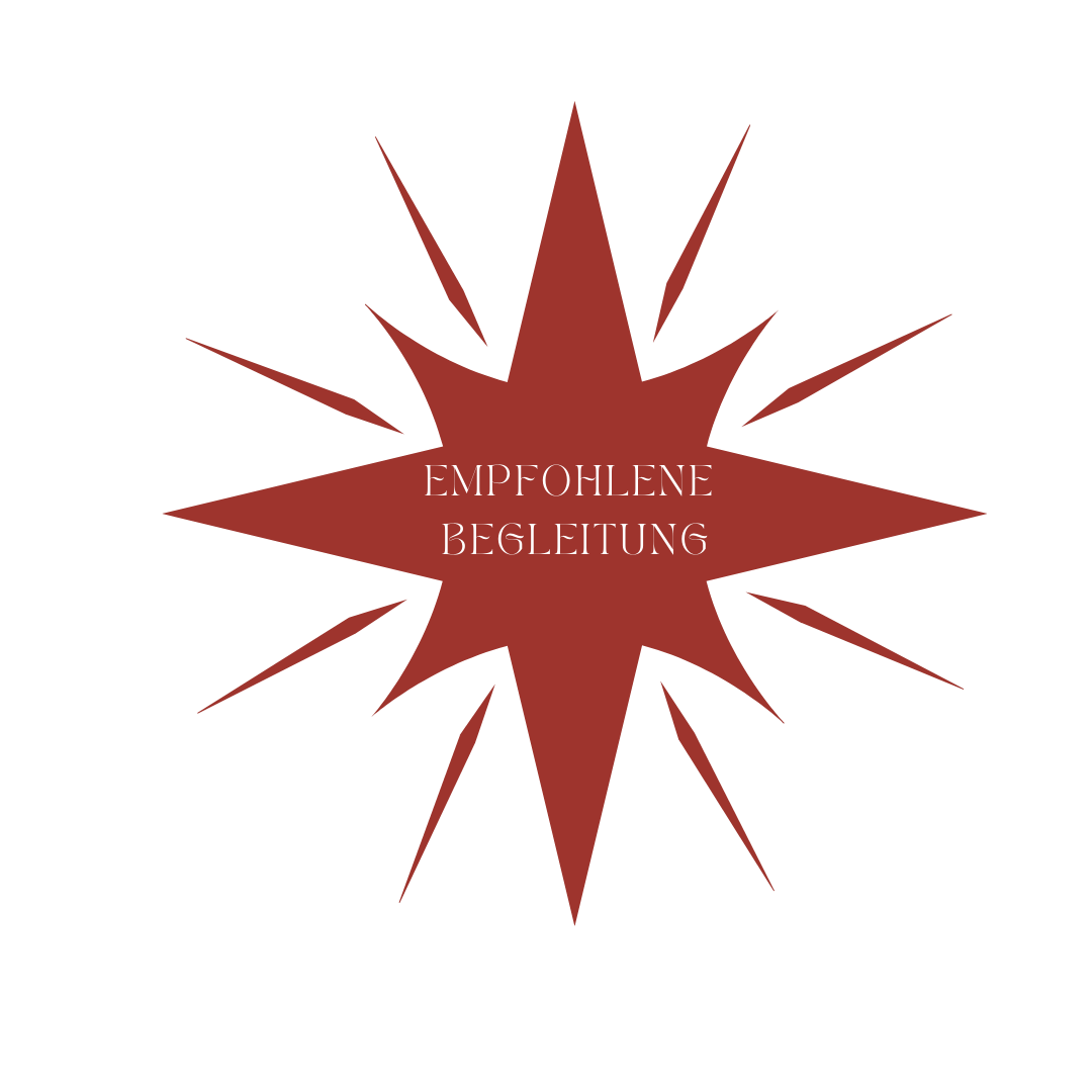 Decorative red star burst design elements arranged in a row on white background.