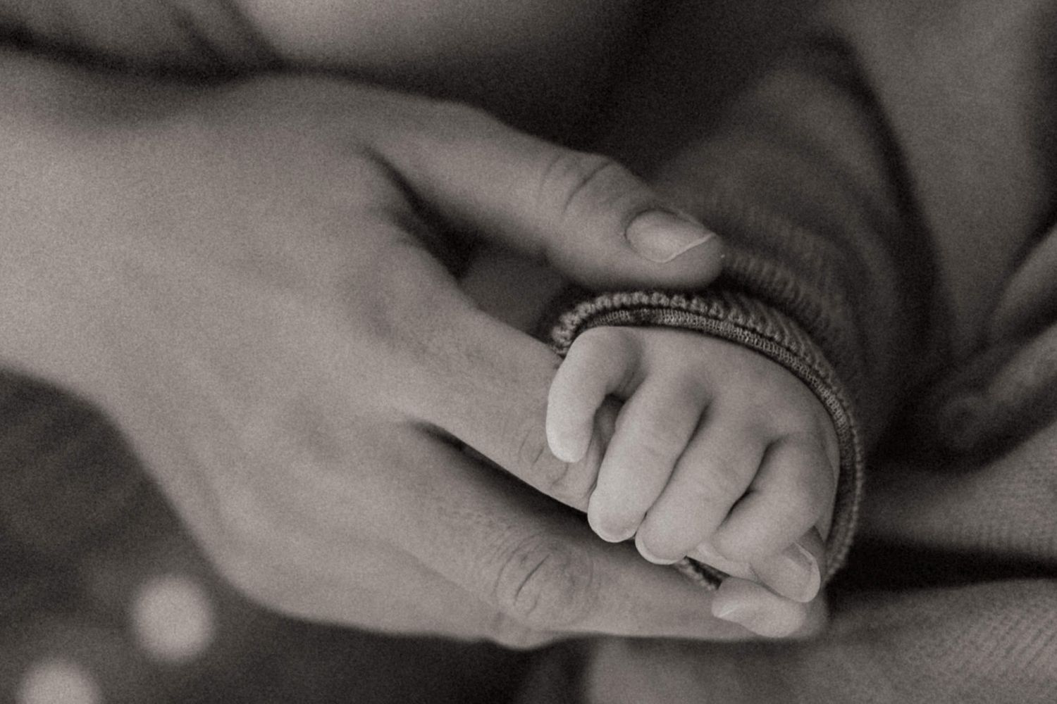 Black and white close-up photograph showing hands gently holding a delicate object with soft bokeh effect in background.