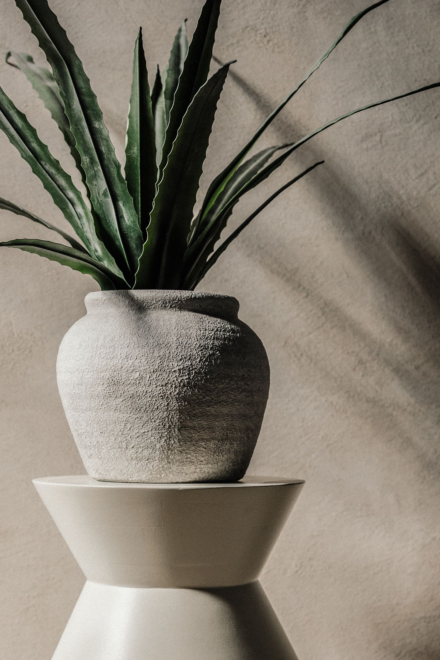 Modern-minimalistisches Arrangement: Aloe in grauem Topf auf weißem Keramikpodest – Business Shooting Frankfurt