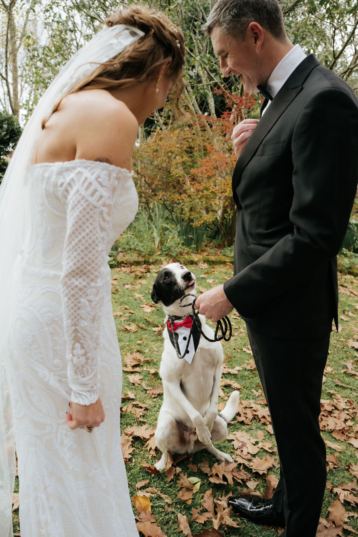 A bride and groom in wedding attire smile at their dog dressed in a tuxedo bandana on autumn leaves.