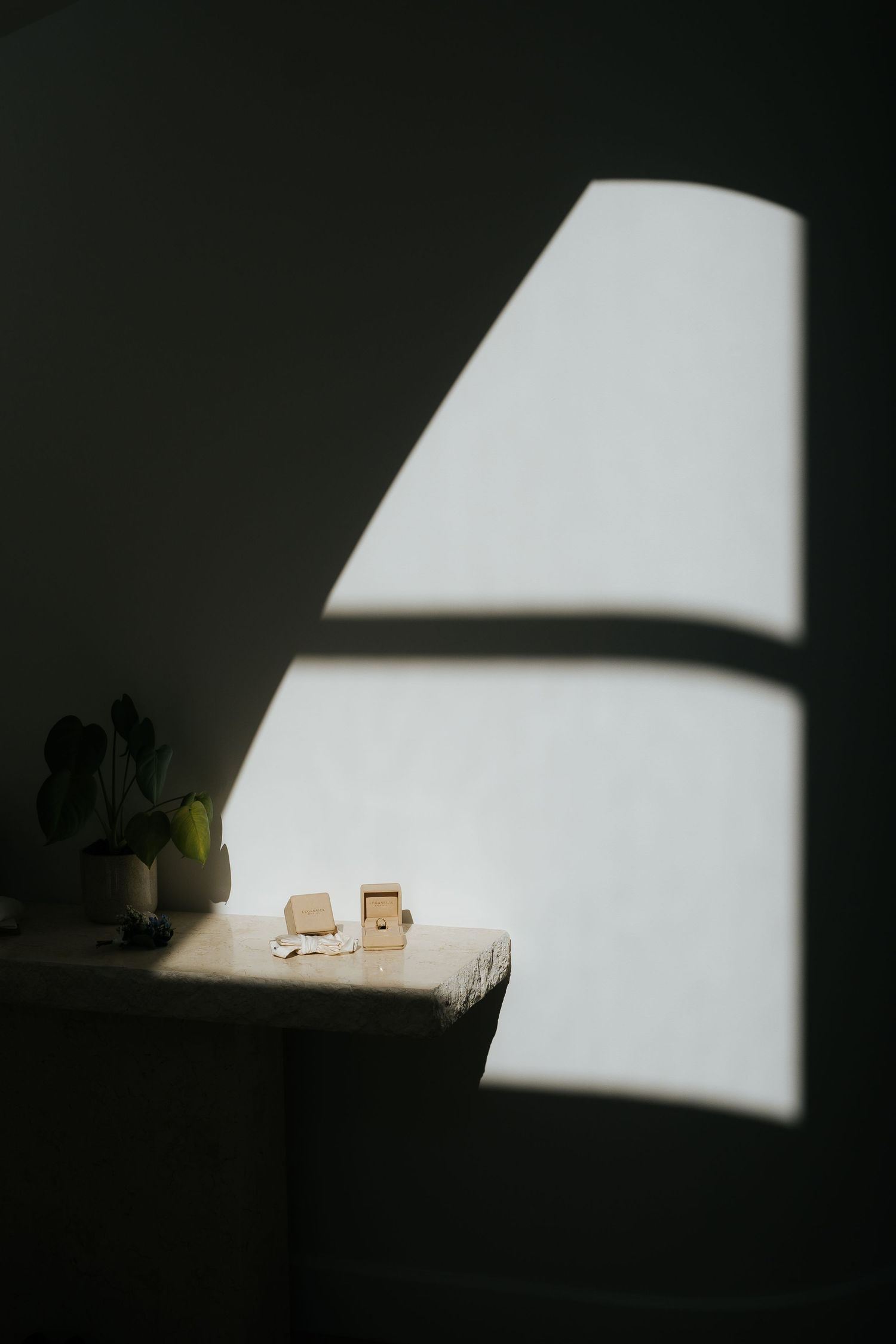 Sunlight casts dramatic shadows on a minimalist table with small decor items and a plant against a white wall.