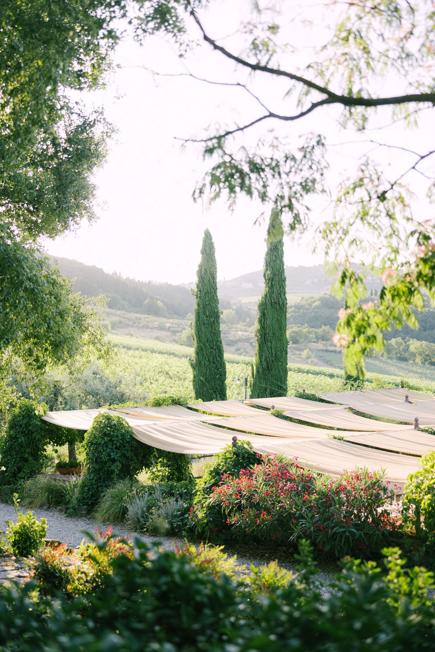 Scenic Tuscan landscape with cypress trees and rolling hills in golden sunlight through a series of garden photographs.