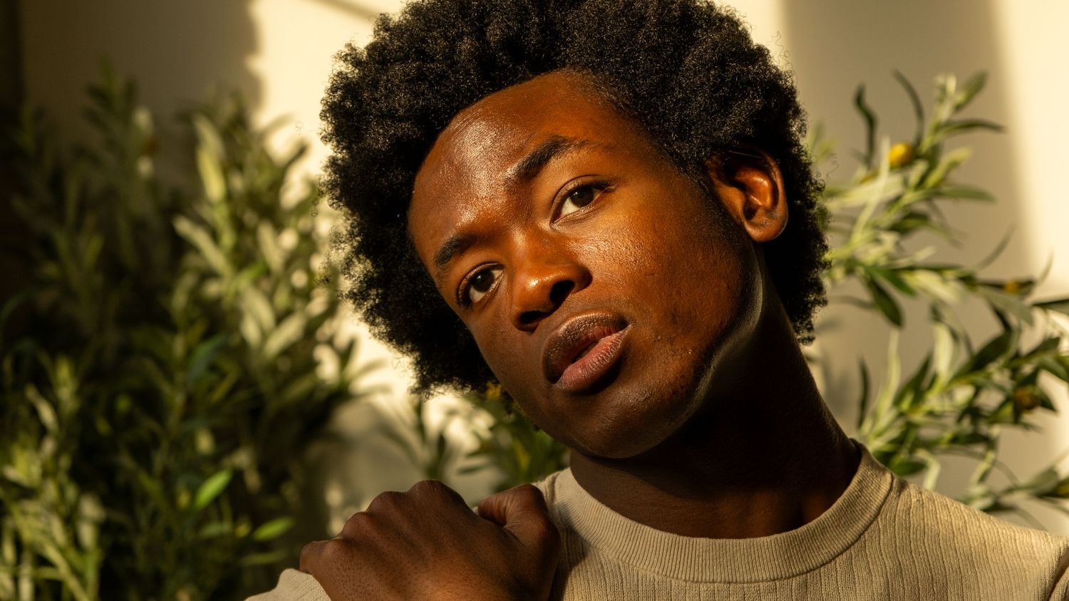 Young Black man with afro hair looking up in warm sunlight with green foliage background.