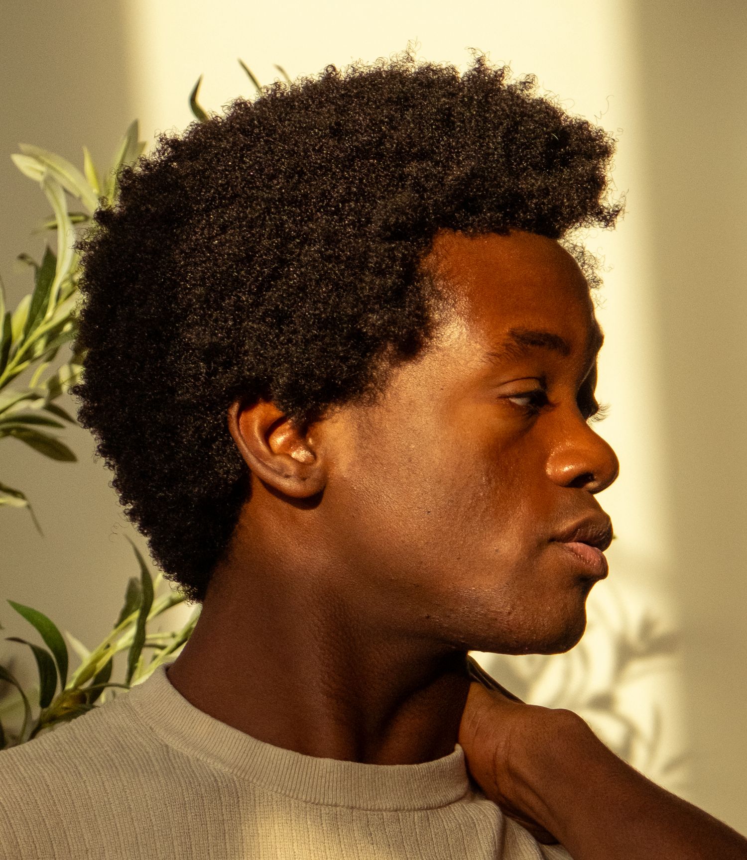 Side profile of young Black man with natural afro hair in warm sunlight near green plant.