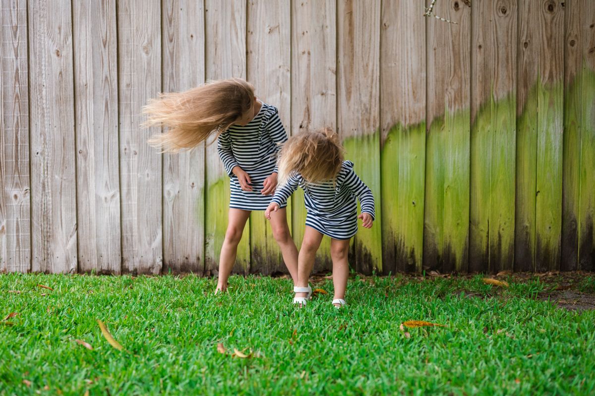 Playful jumping sequence captured against a wooden fence and green grass background.