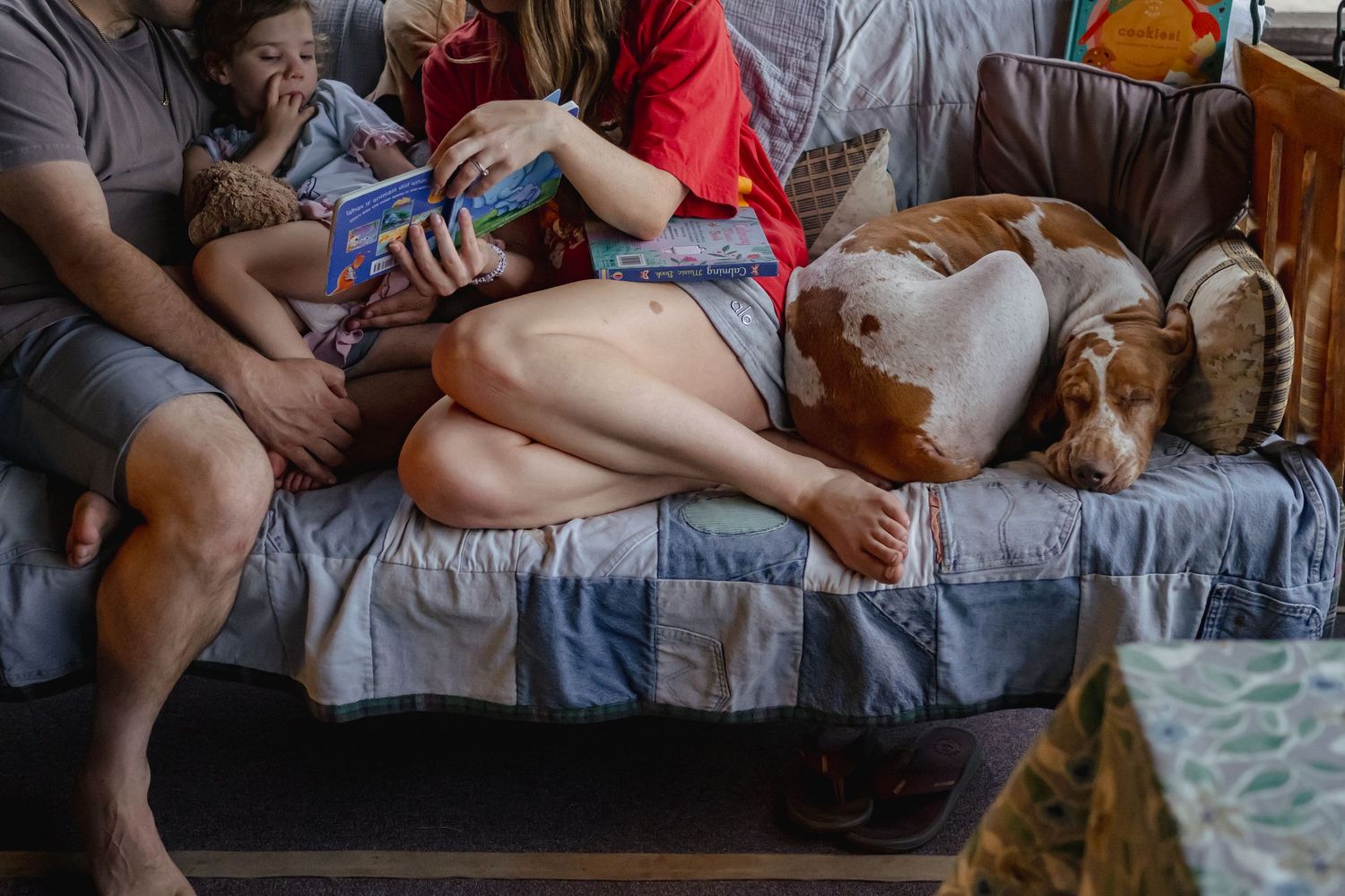 Family relaxing on couch reading colorful book together with large brown white dog lying nearby.