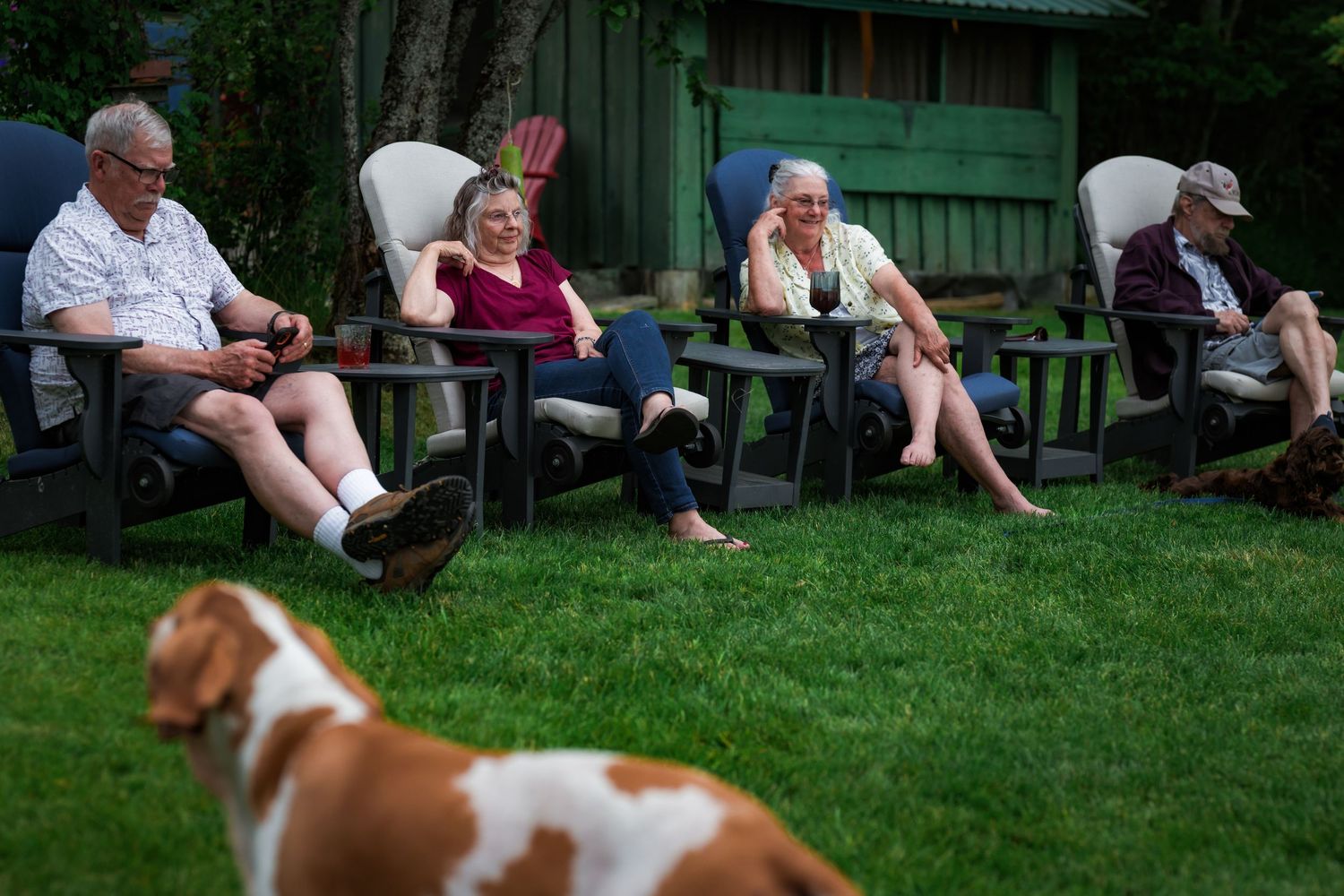 Elderly group relaxing in lawn chairs on green grass with a brown and white dog in the foreground.