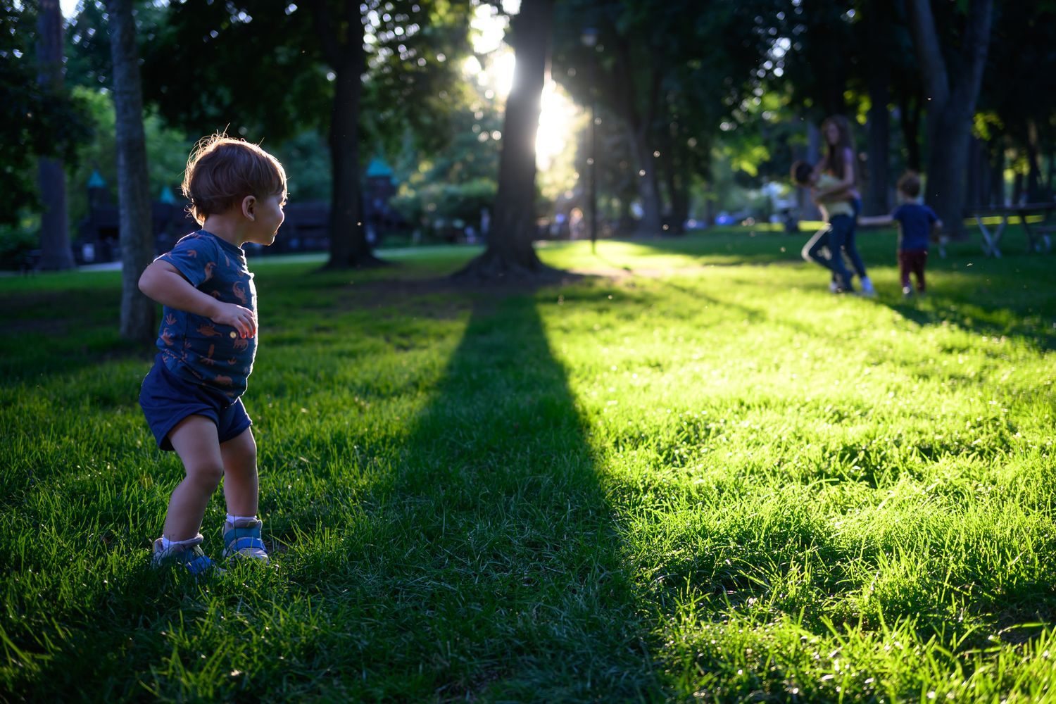 Child playing in a sunlit park during golden hour with long shadows on green grass.