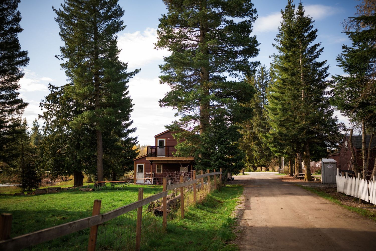 A rustic red cabin nestled among tall pine trees along a peaceful country road with a wooden fence in a rural setting.