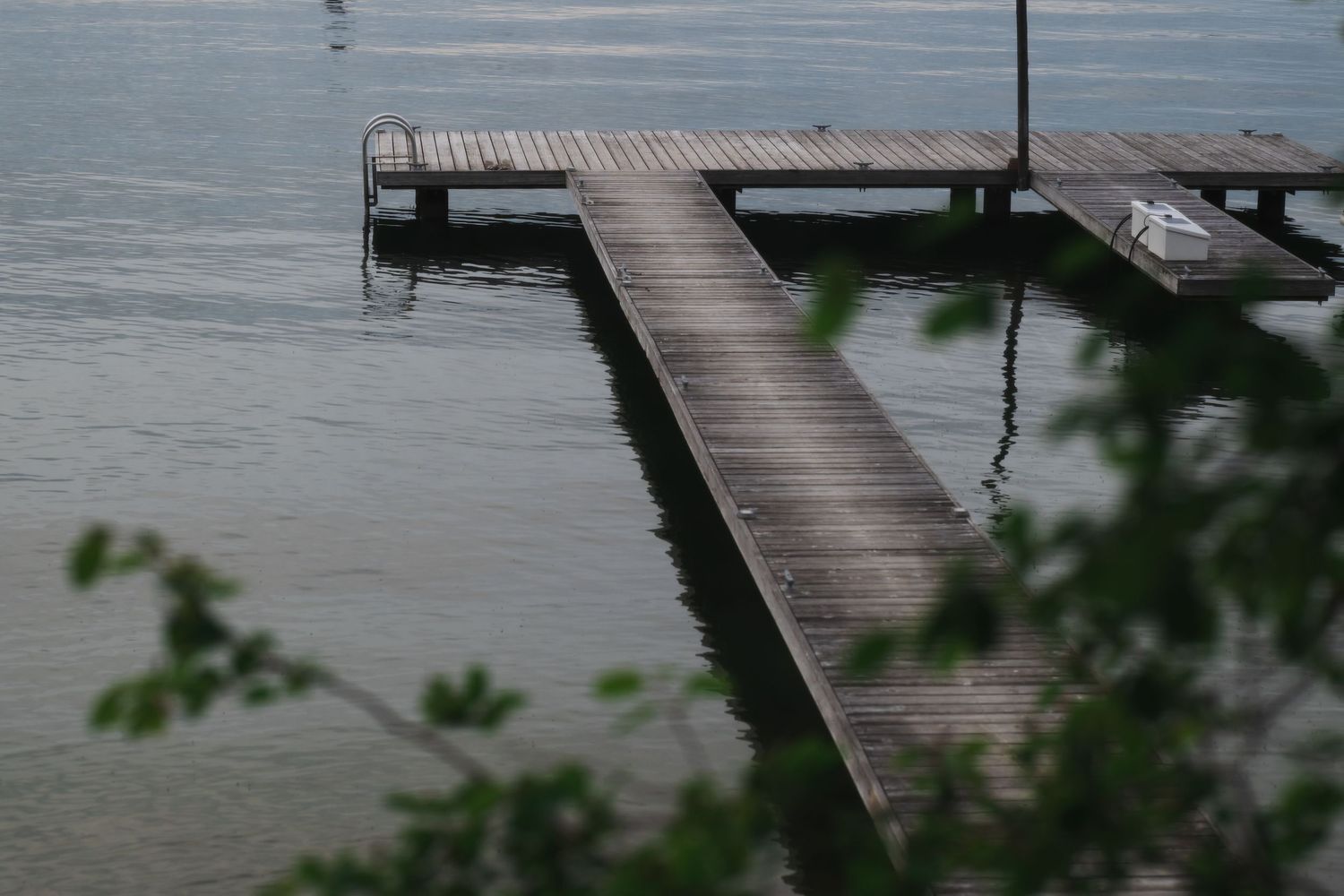 Wooden T-shaped dock extending into calm lake water, framed by green leaves.