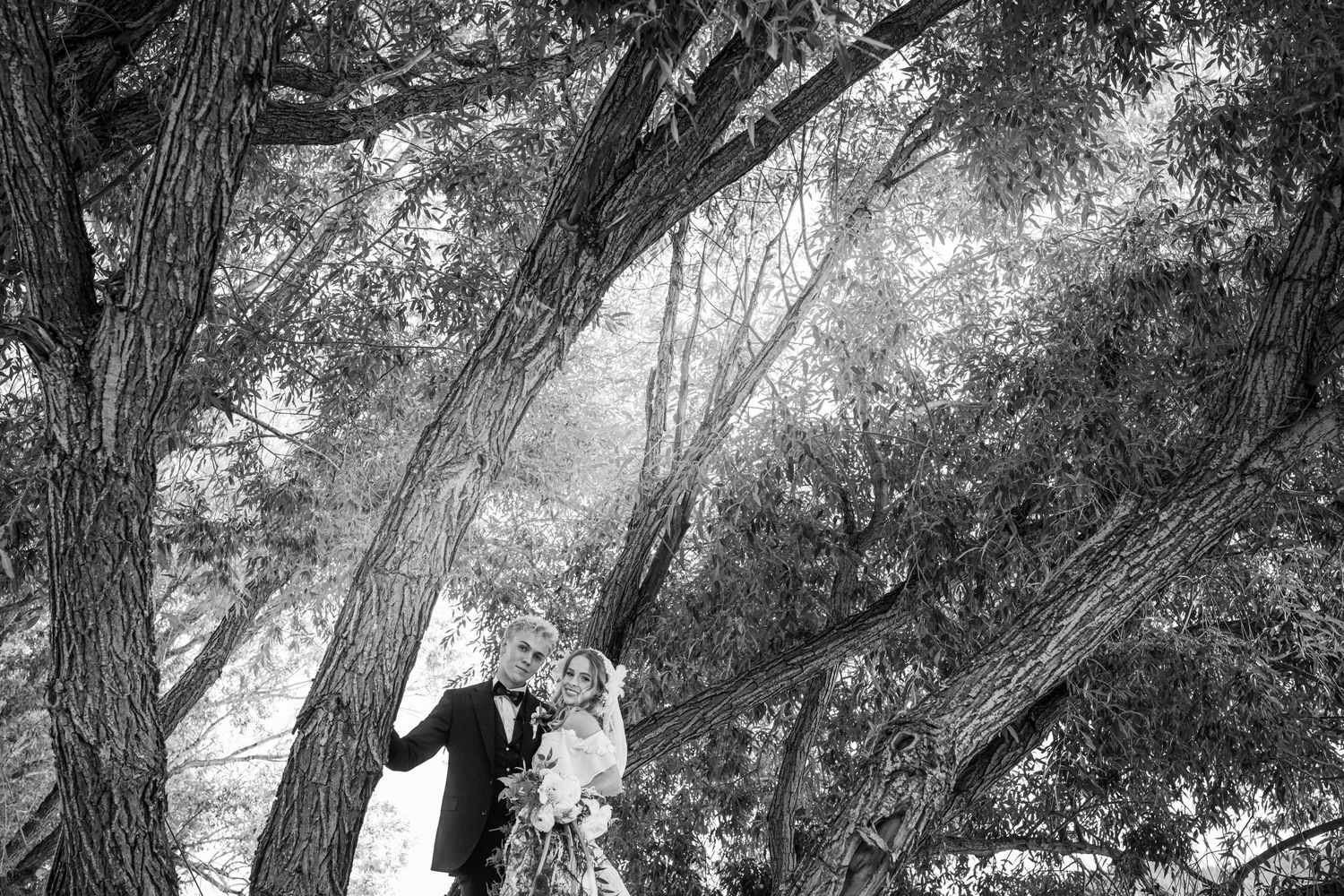 Black and white wedding photo of bride and groom embracing among large tree branches outdoors.