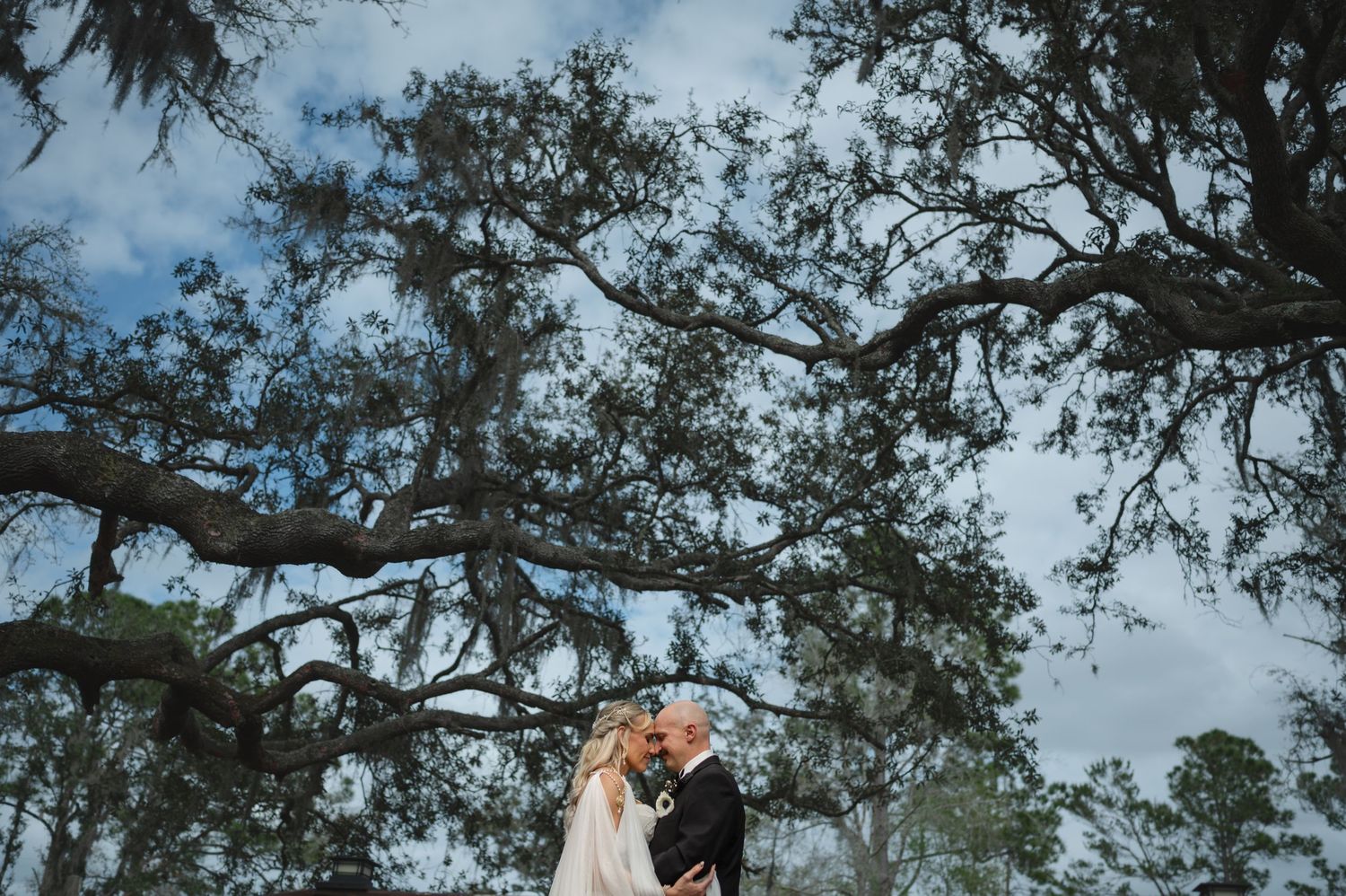 Bride and groom sharing a romantic kiss beneath sprawling moss-covered oak trees on their wedding day.