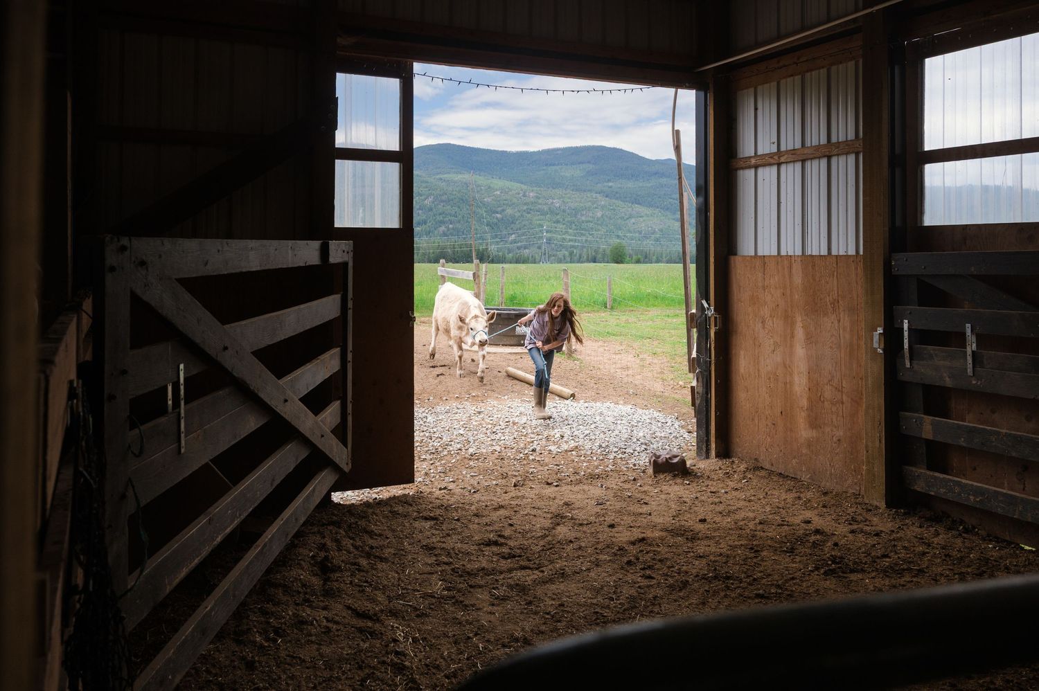 Person leading a horse into a rustic barn with sandy floor, green pastures and mountain views visible outside.