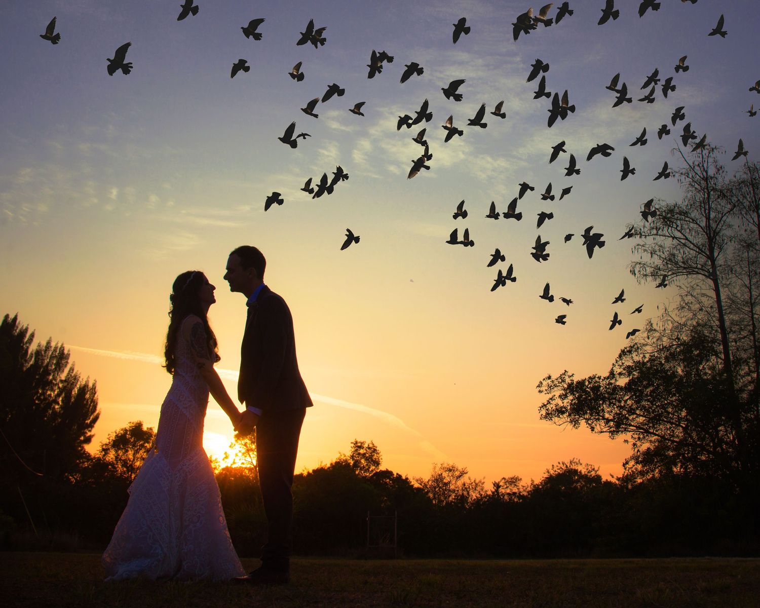 Silhouettes of a couple against a sunset sky with birds flying overhead.