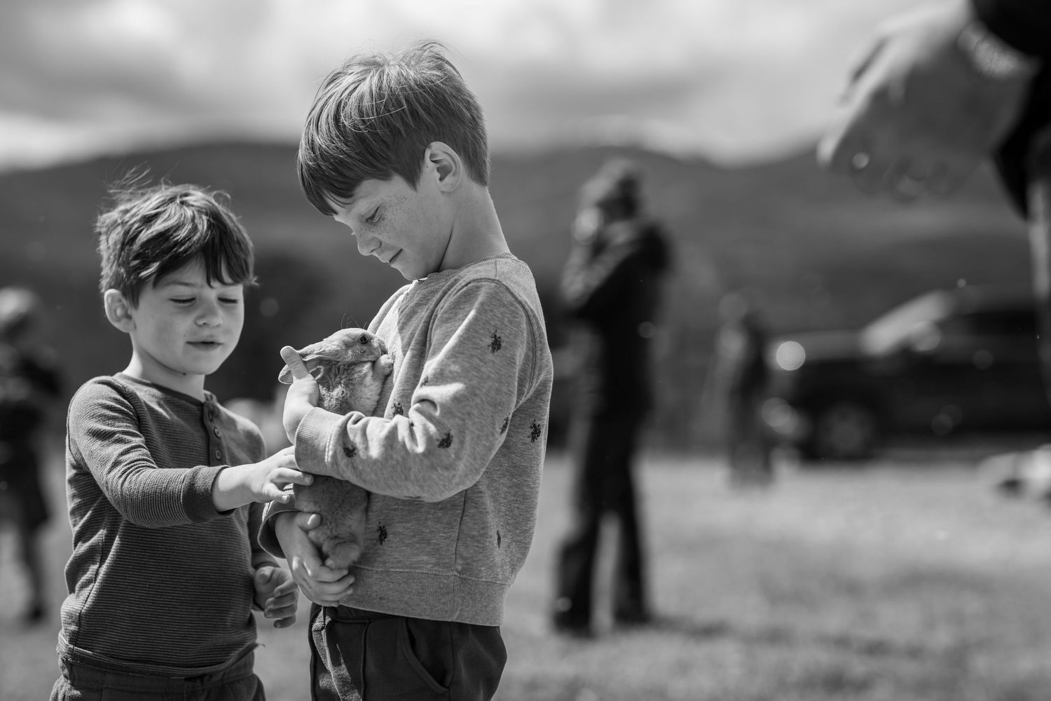 Two boys sharing a kitten outdoors in a black and white photo with mountains in the background.