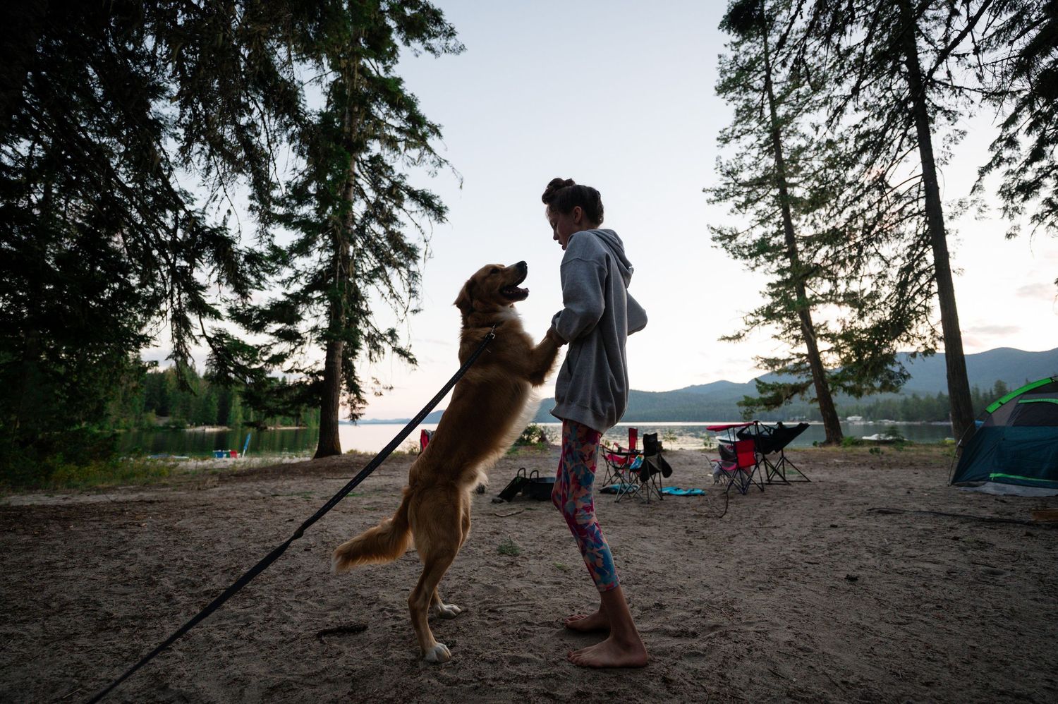 Dog and person play fetch on a beach during sunset with lake and mountains in the background.