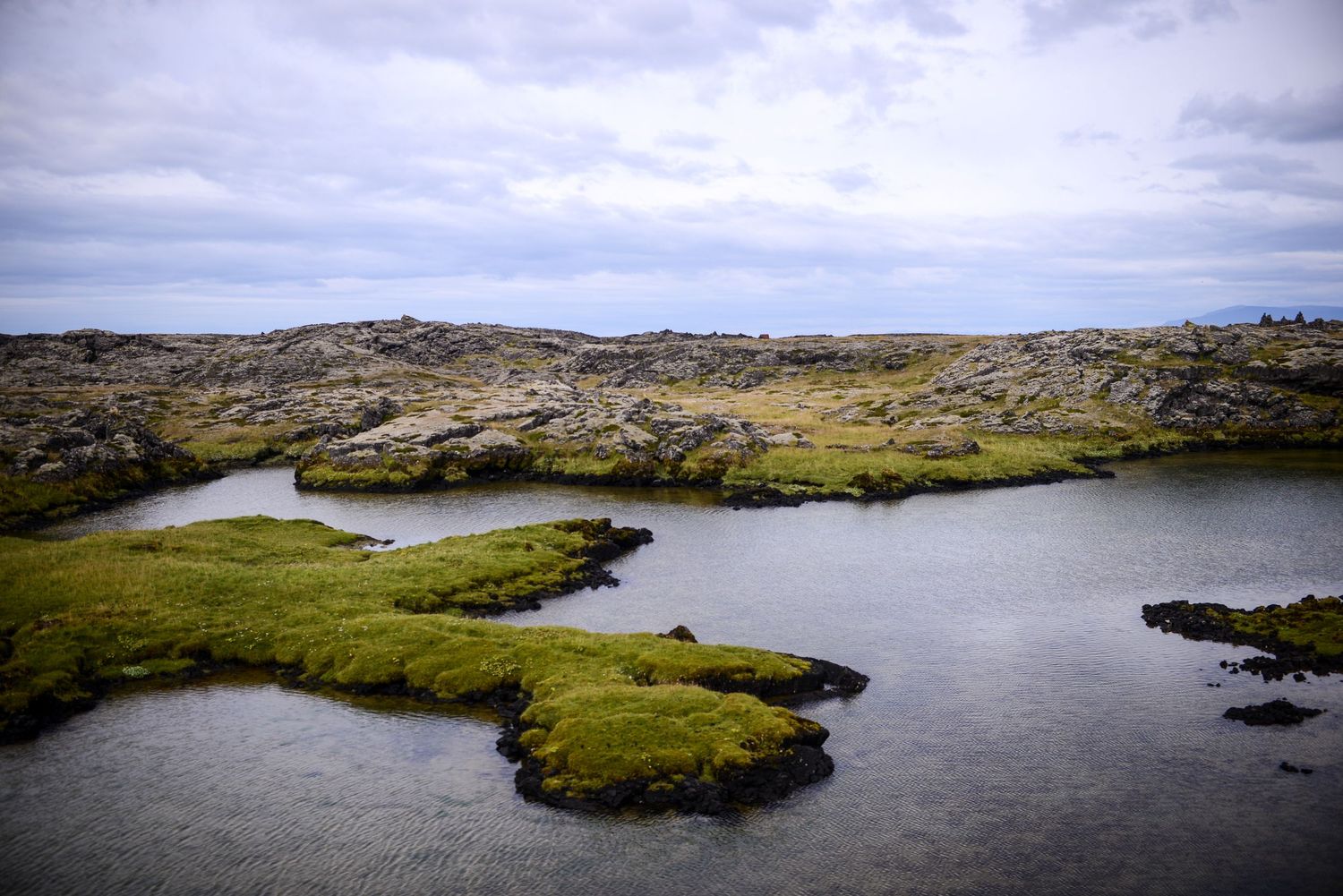 Scenic view of a rocky coastal landscape with mossy islands dotting a calm lake under cloudy skies in Norway.