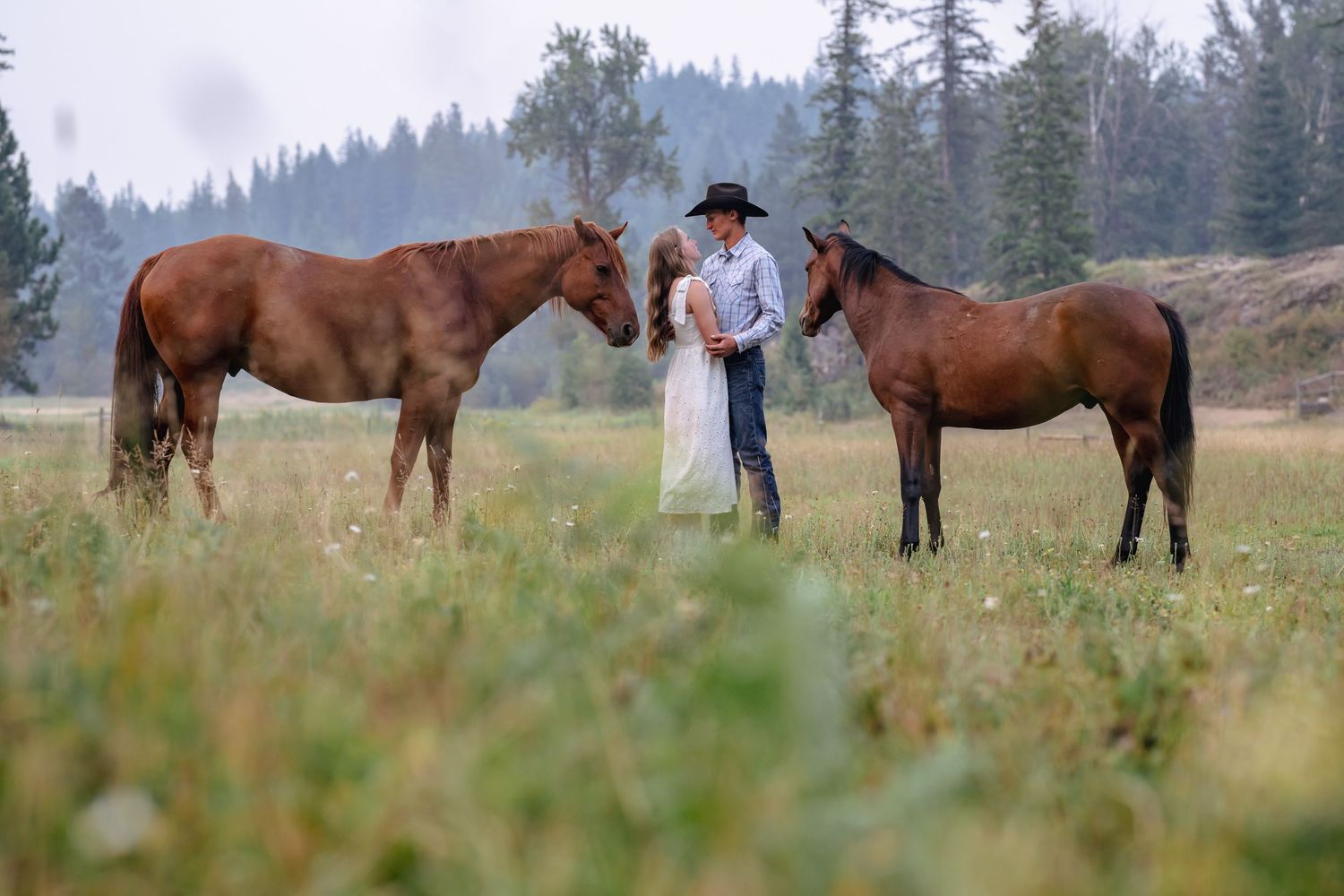 Couple in western attire embracing between two brown horses in a lush green meadow with pine trees.