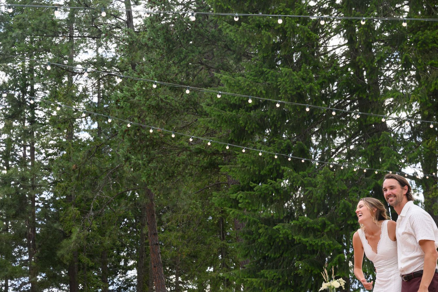 Outdoor wedding celebration with string lights decorating tall evergreen trees at dusk in the forest.