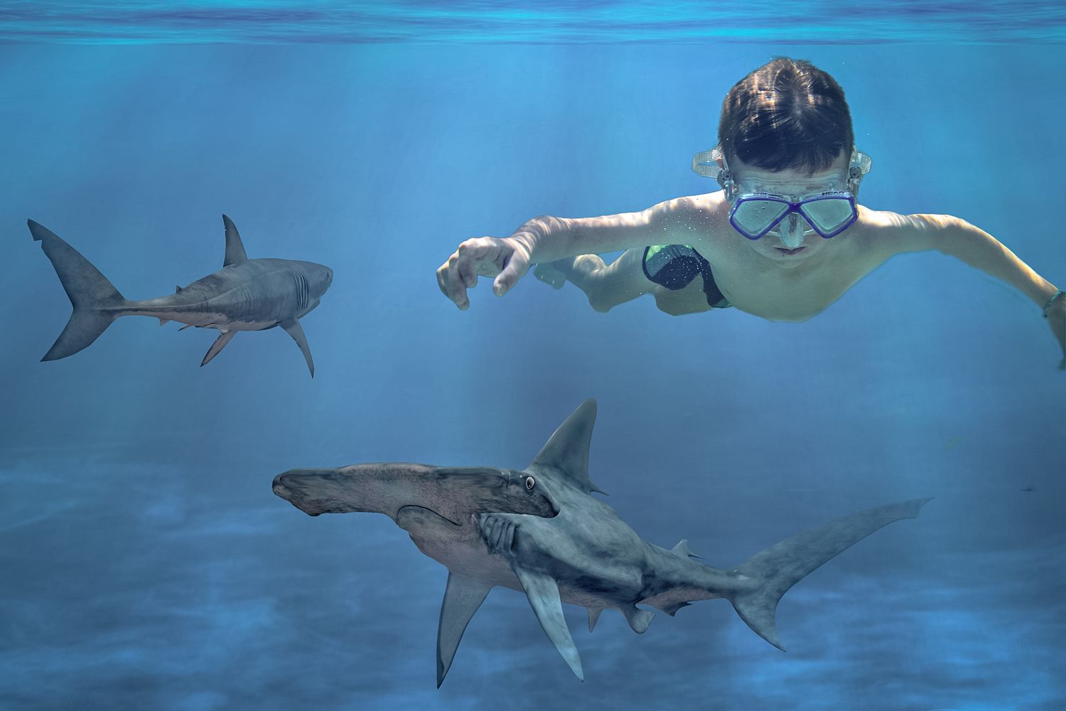 A great white shark swims menacingly through deep blue ocean waters with its distinctive fins and streamlined body.