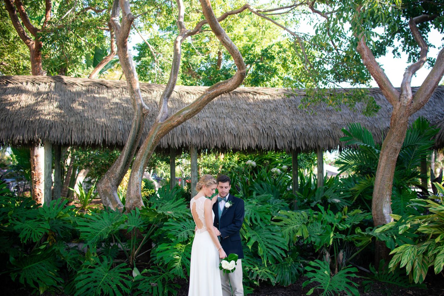 Lush tropical garden pathway with overhanging trees and ferns creating natural shade and greenery.