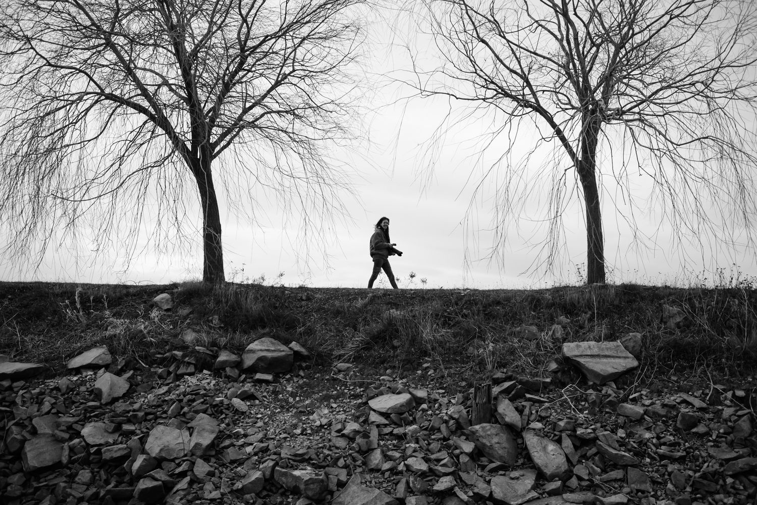A silhouetted figure walks between two bare trees on a rocky path in black and white.