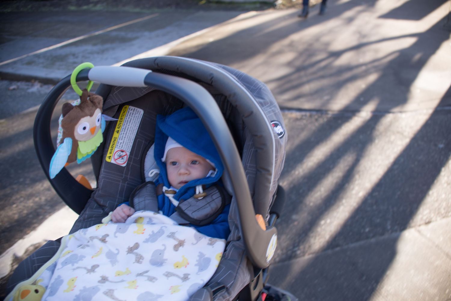 A sequence of six photos showing a baby in a stroller on a sunny day with shadows cast on the ground.
