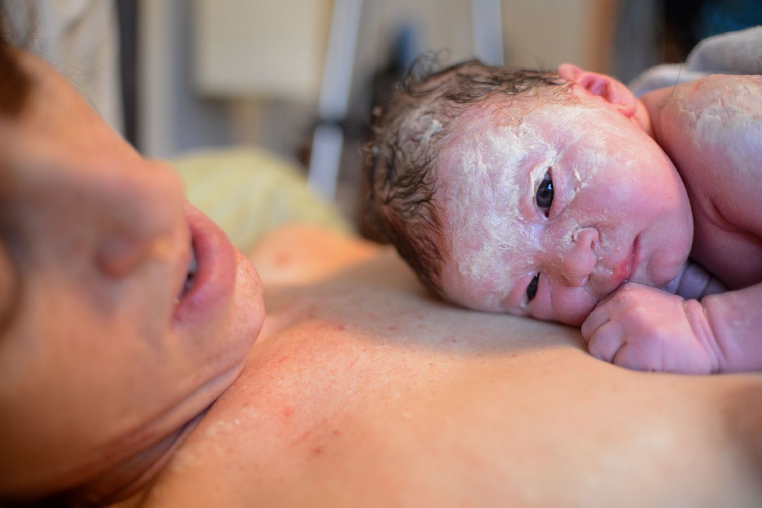 A collection of peaceful newborn sleeping portraits in soft natural lighting.