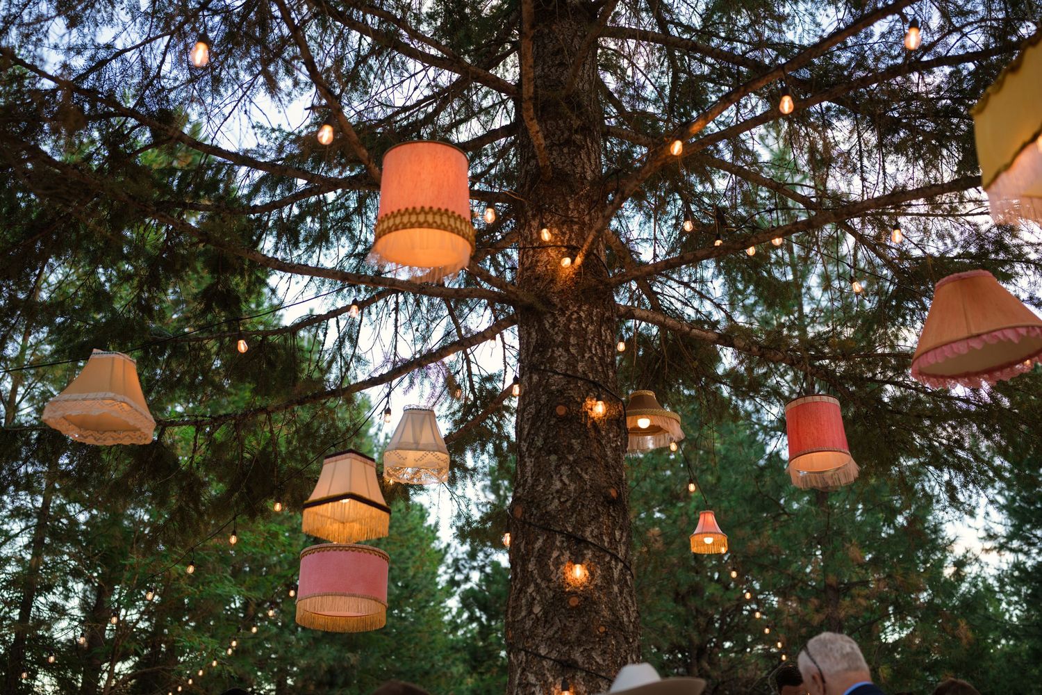 Colorful paper lanterns and string lights hanging from pine trees at an outdoor wedding reception.