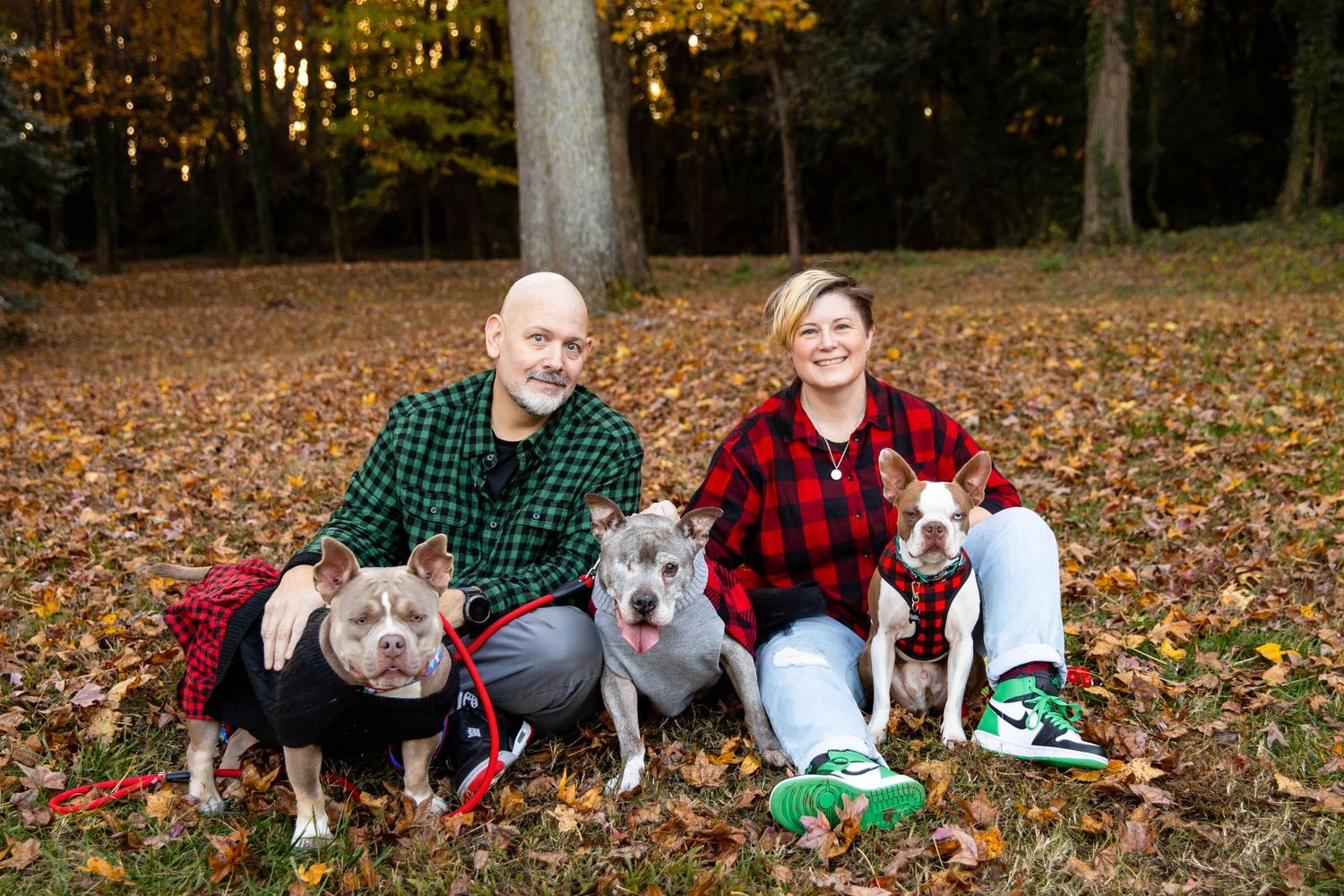 Family and their dogs sitting together on fallen autumn leaves in a park setting.