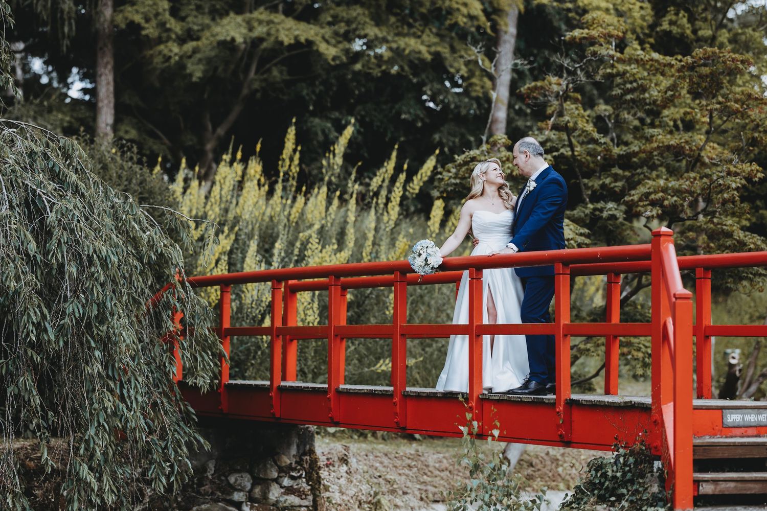 Wedding couple poses on a striking red bridge in a Japanese garden setting at Fanham Hall, Ware, Hertfordshire.