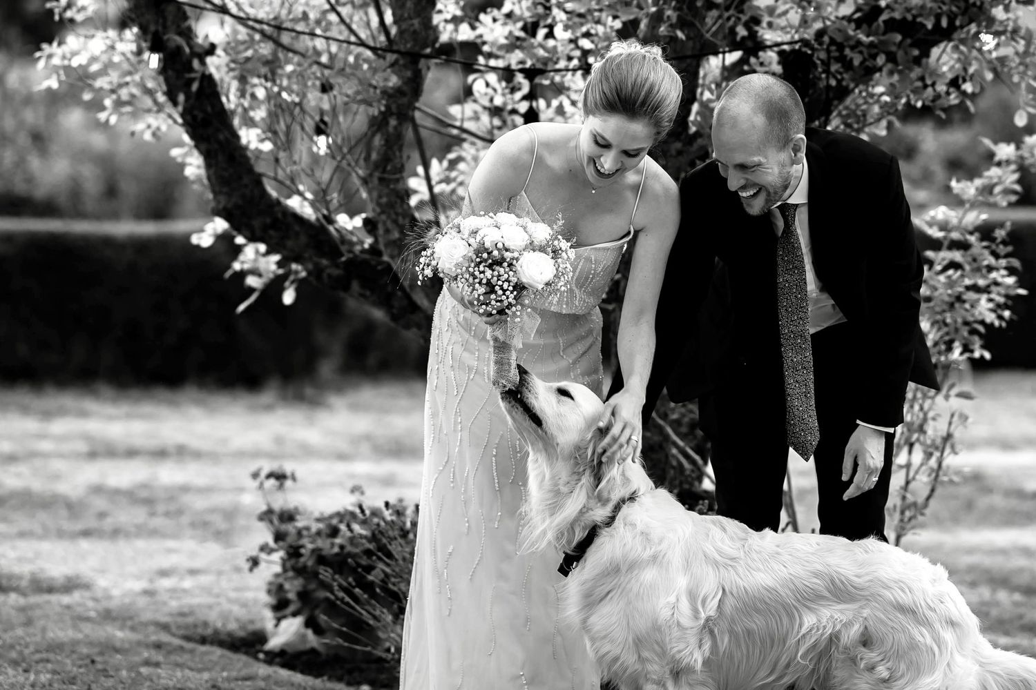 A couple in wedding attire pets their white dog during an outdoor garden photoshoot.