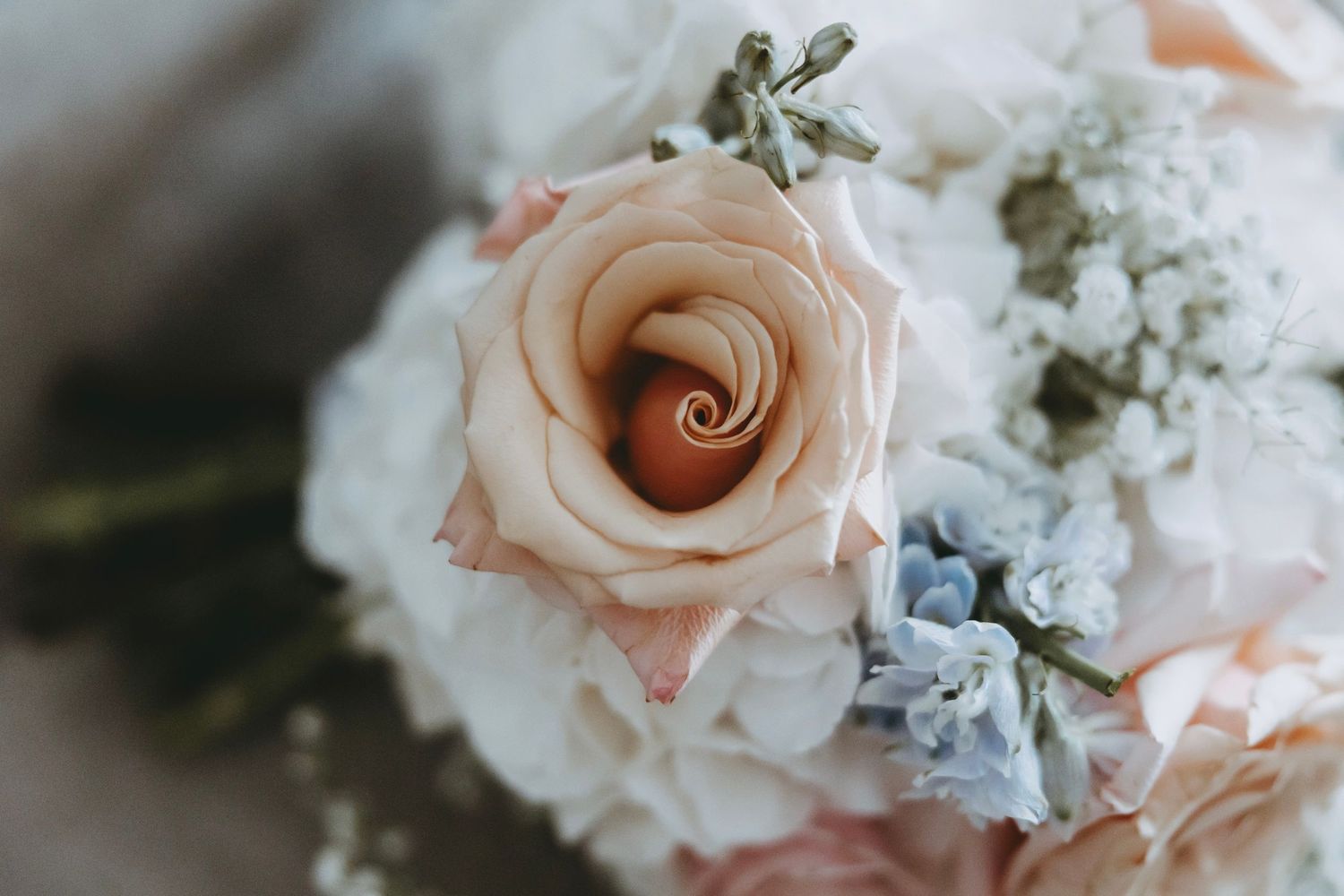 Elegant floral arrangement featuring peach roses and white flowers in soft focus.