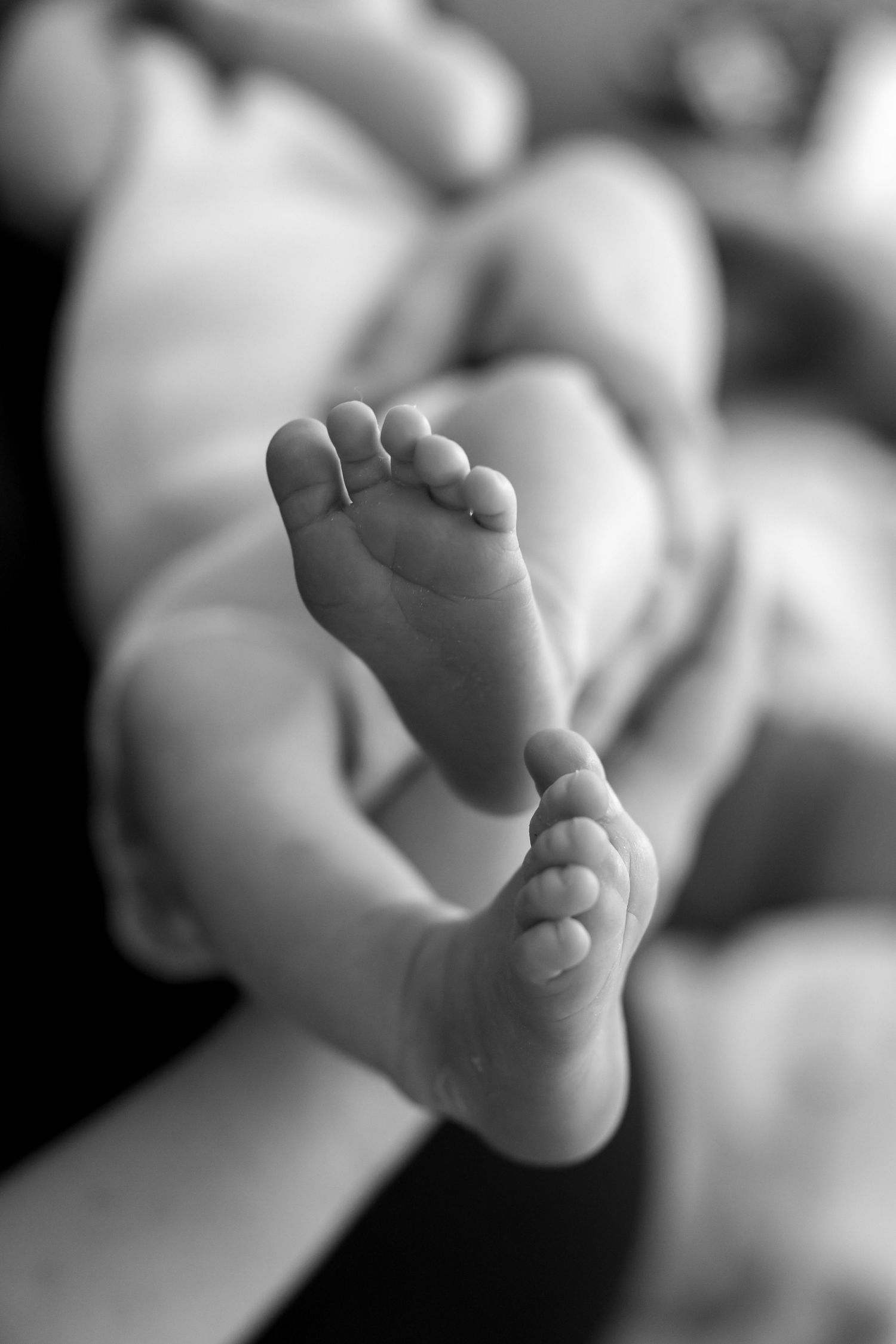 Close-up black and white photo series of tiny newborn baby feet showing different angles and details.