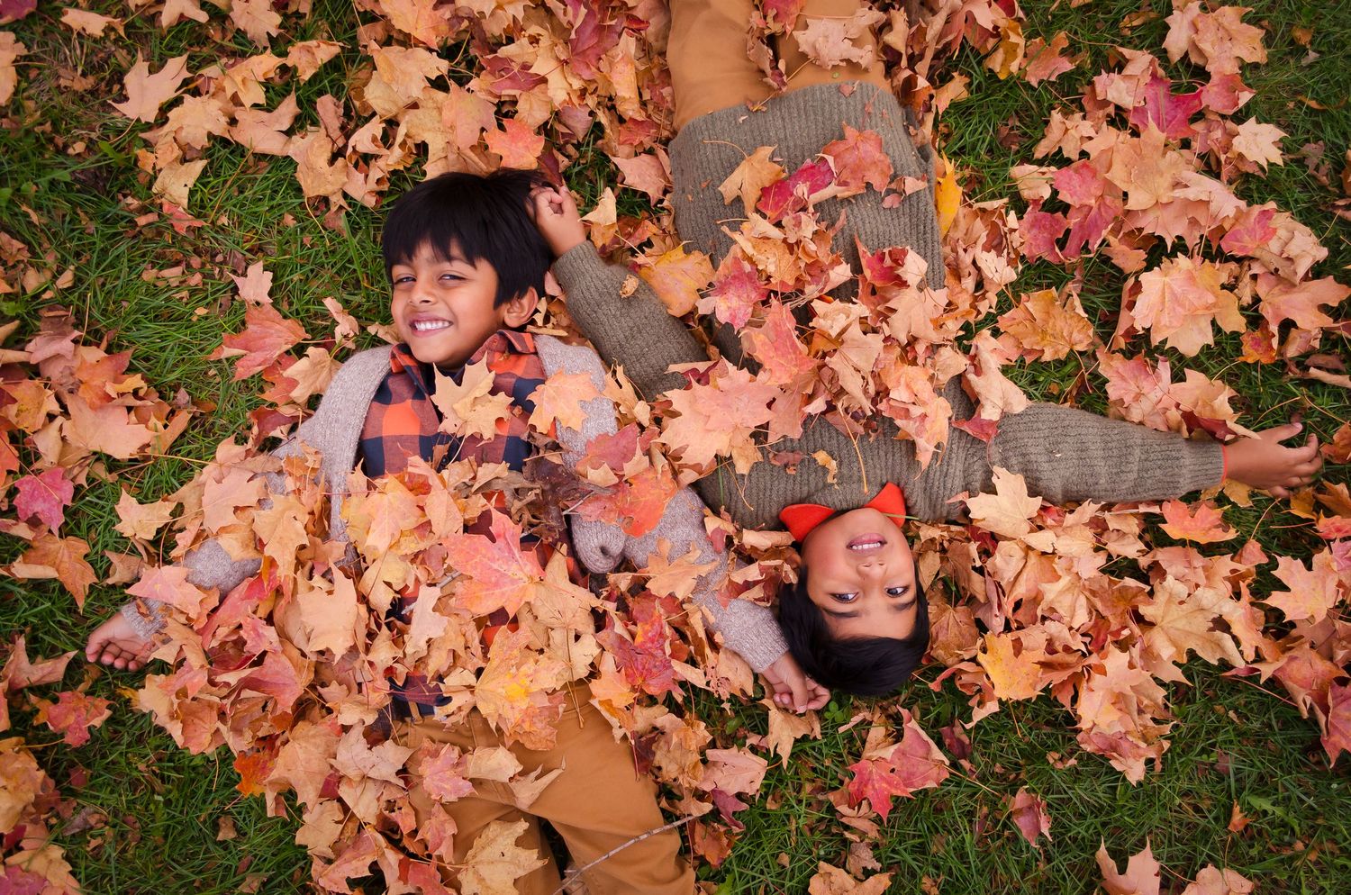 Autumn leaves in warm peachy tones create a natural backdrop pattern.