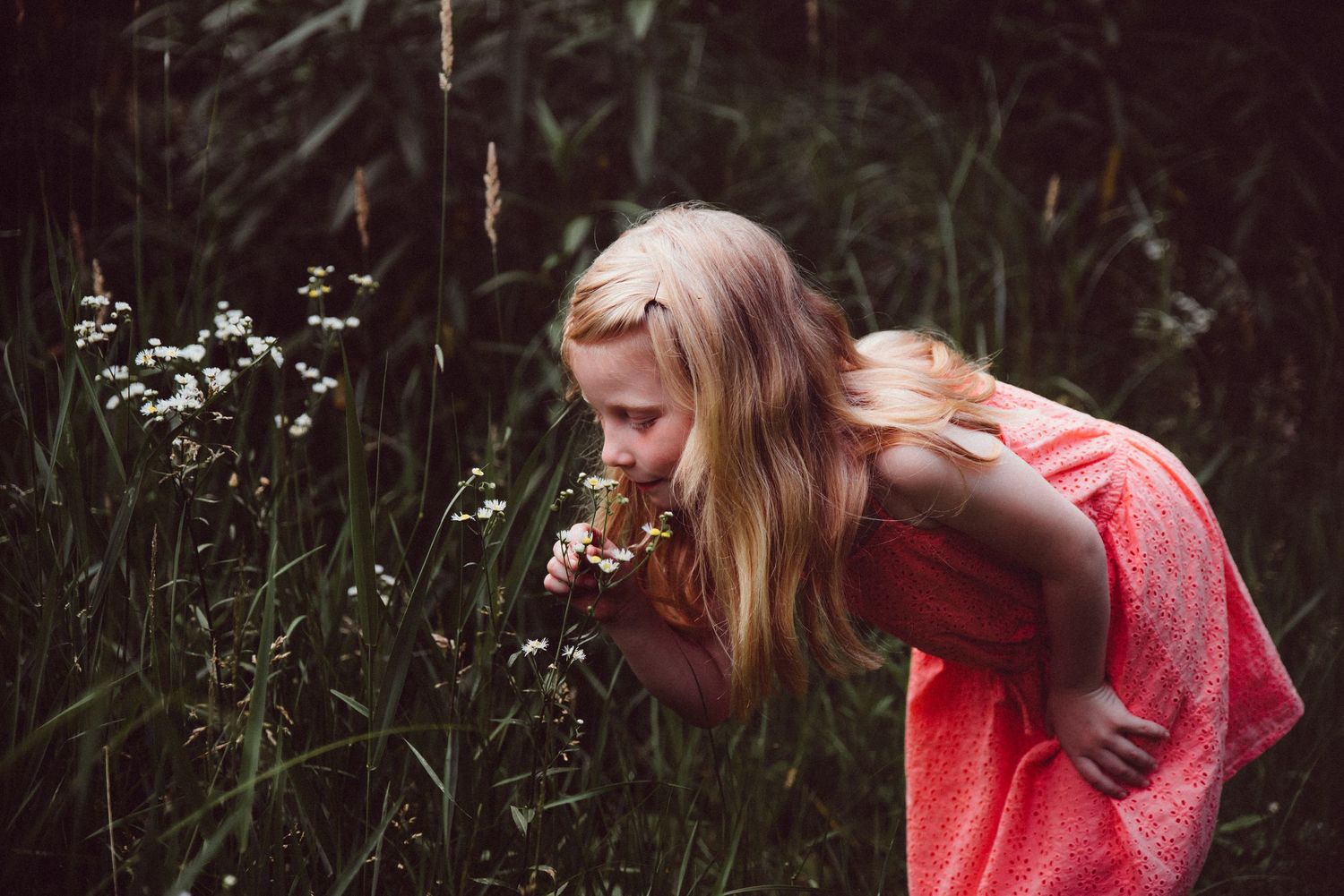 Playful outdoor family photoshoot in a grassy field at sunset with warm lighting and natural poses.