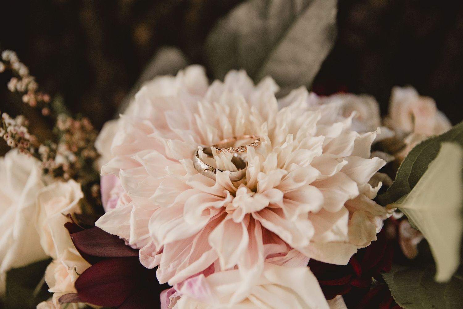 Close-up of delicate pink peonies in full bloom with soft, layered petals.