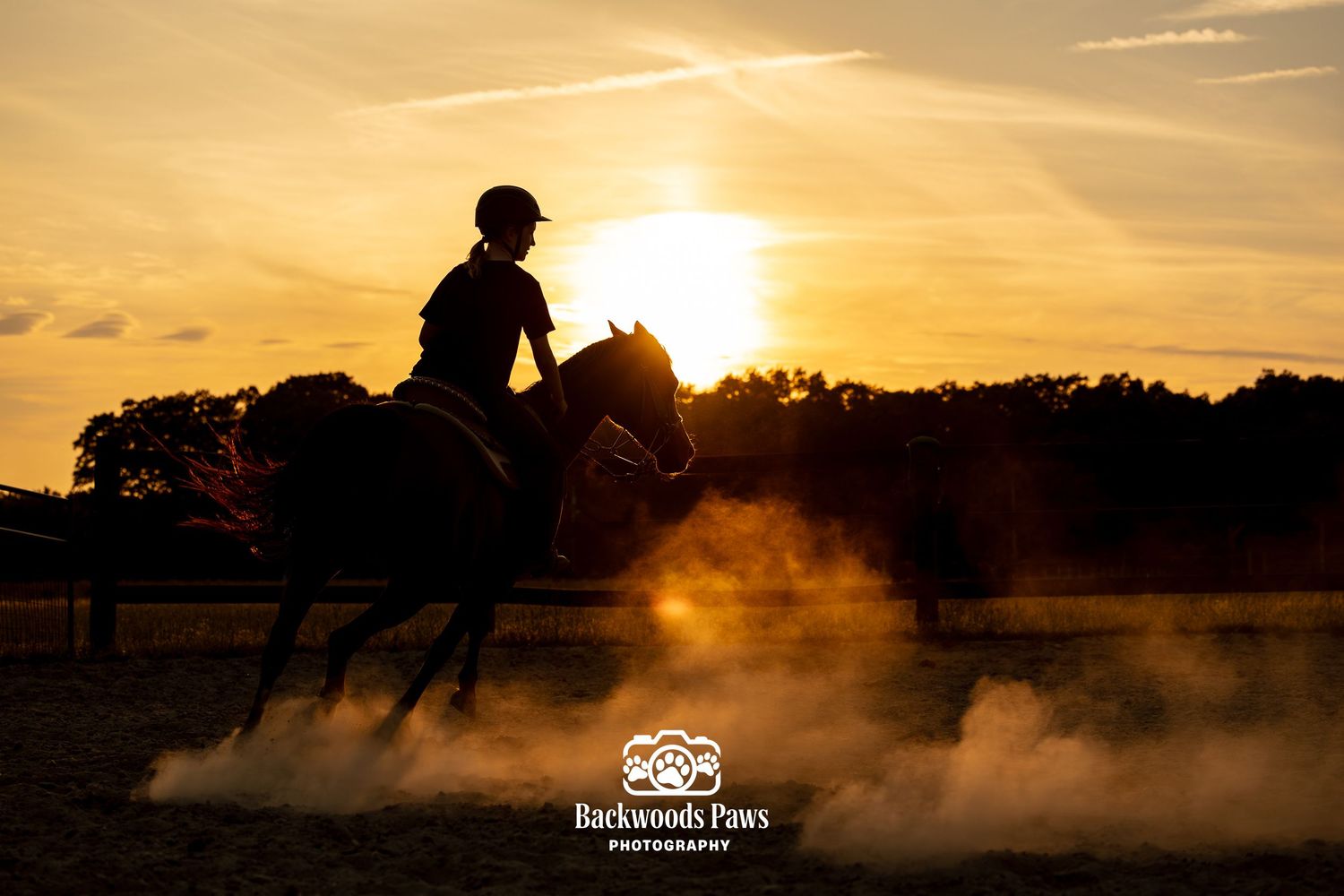 Silhouette of horse and rider against golden sunset sky with dust rising, dramatic equestrian photography.