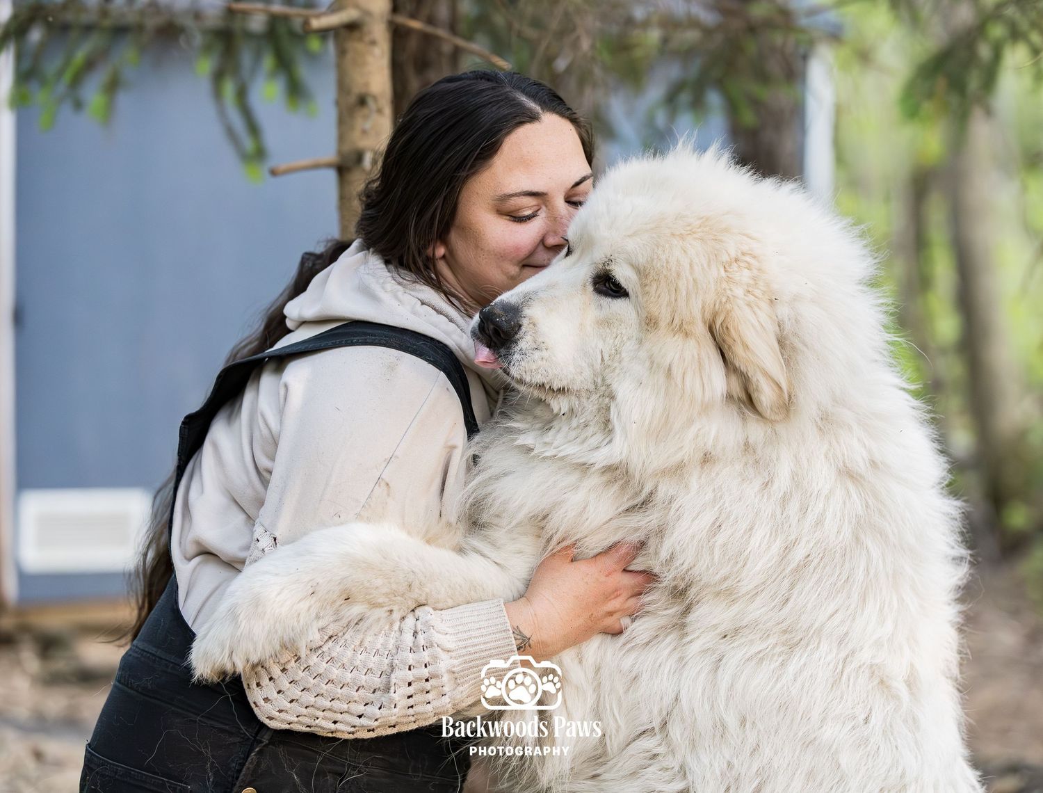 A woman hugging a large fluffy white Great Pyrenees dog outdoors, sharing an affectionate moment.