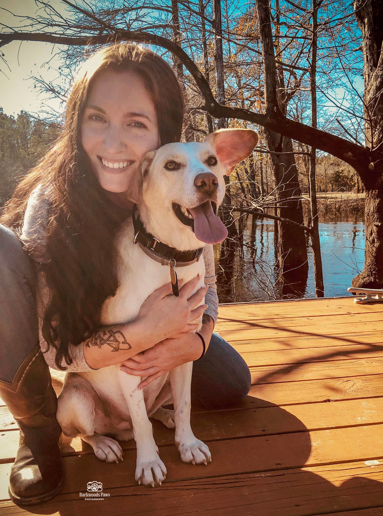 A white and brown pit bull mix dog sits on a wooden deck in warm sunlight with trees and water in the background.