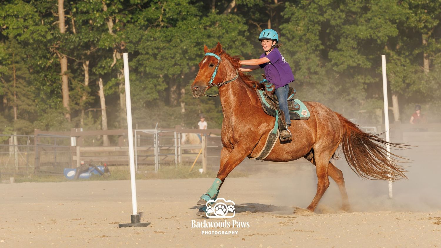 A young rider in a blue helmet guides a chestnut horse around a pole during an equestrian barrel racing event.