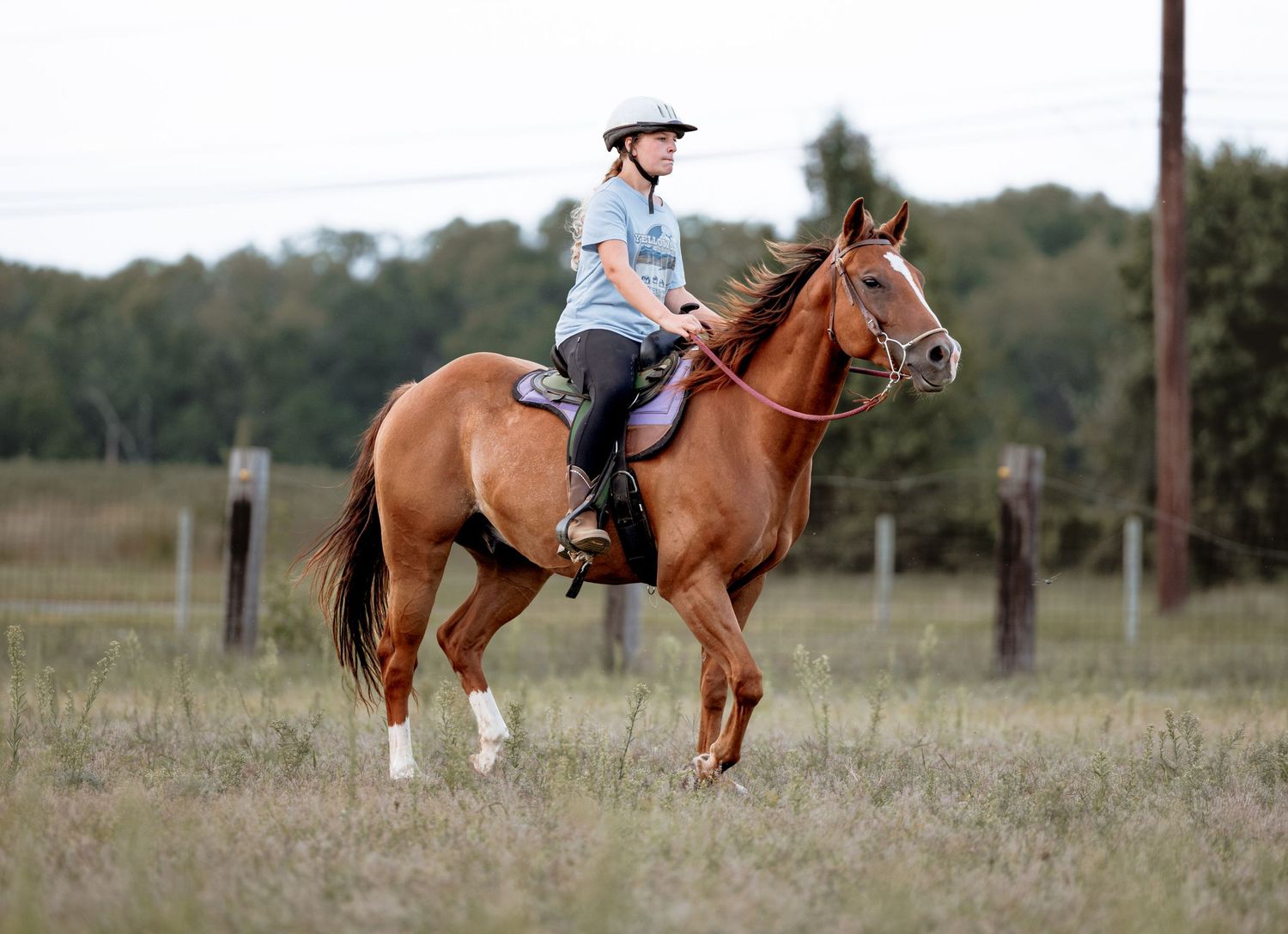 A young girl wearing a helmet rides a chestnut horse through an open grassy field with trees in the background.