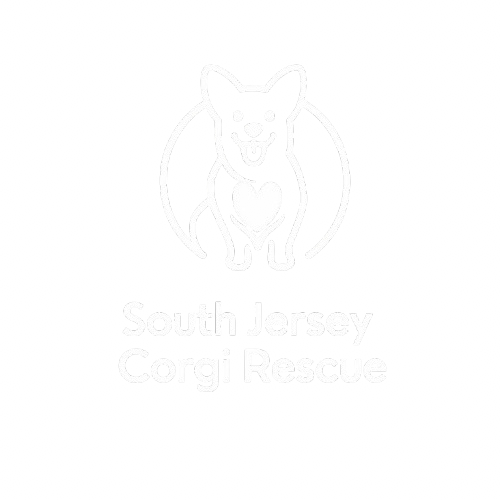 South Jersey Corgi Rescue logo featuring a white outline illustration of a corgi dog on a white background.